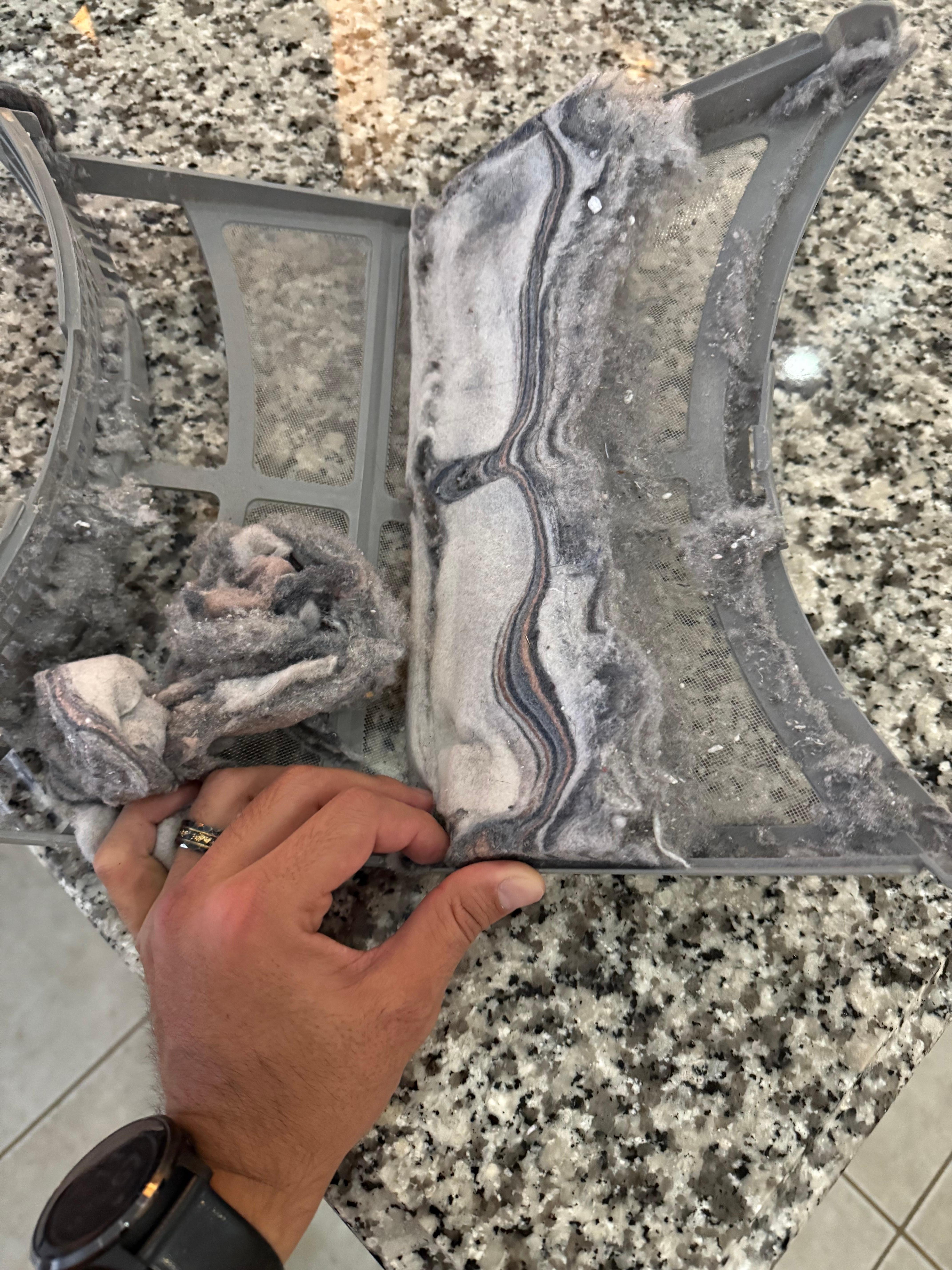 Lint trap that could have caused a fire 