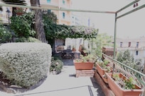 The garden and sitting area