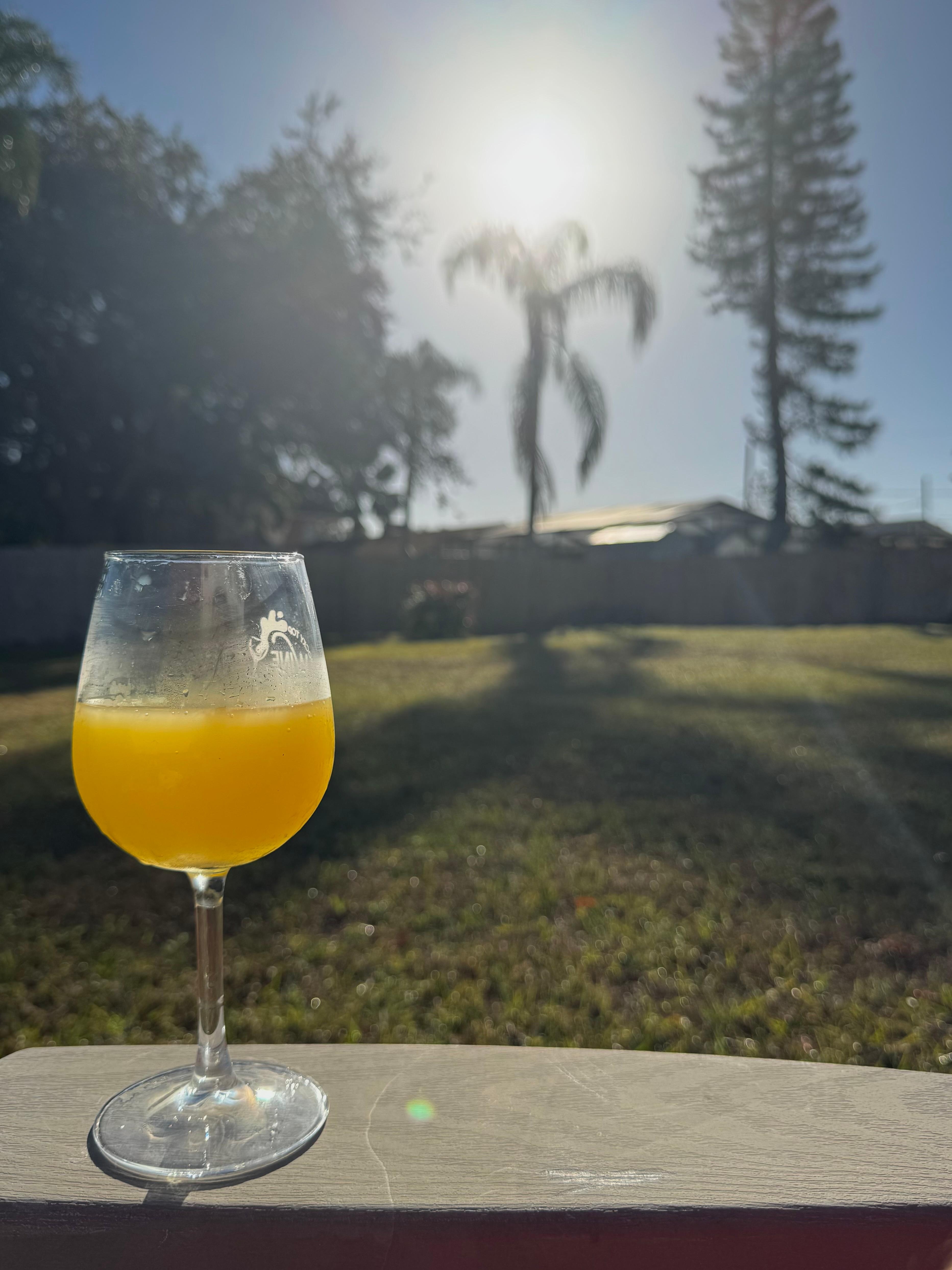 Large yard and comfortable chairs.  Plus a mimosa and palm trees? Yes,
please! 