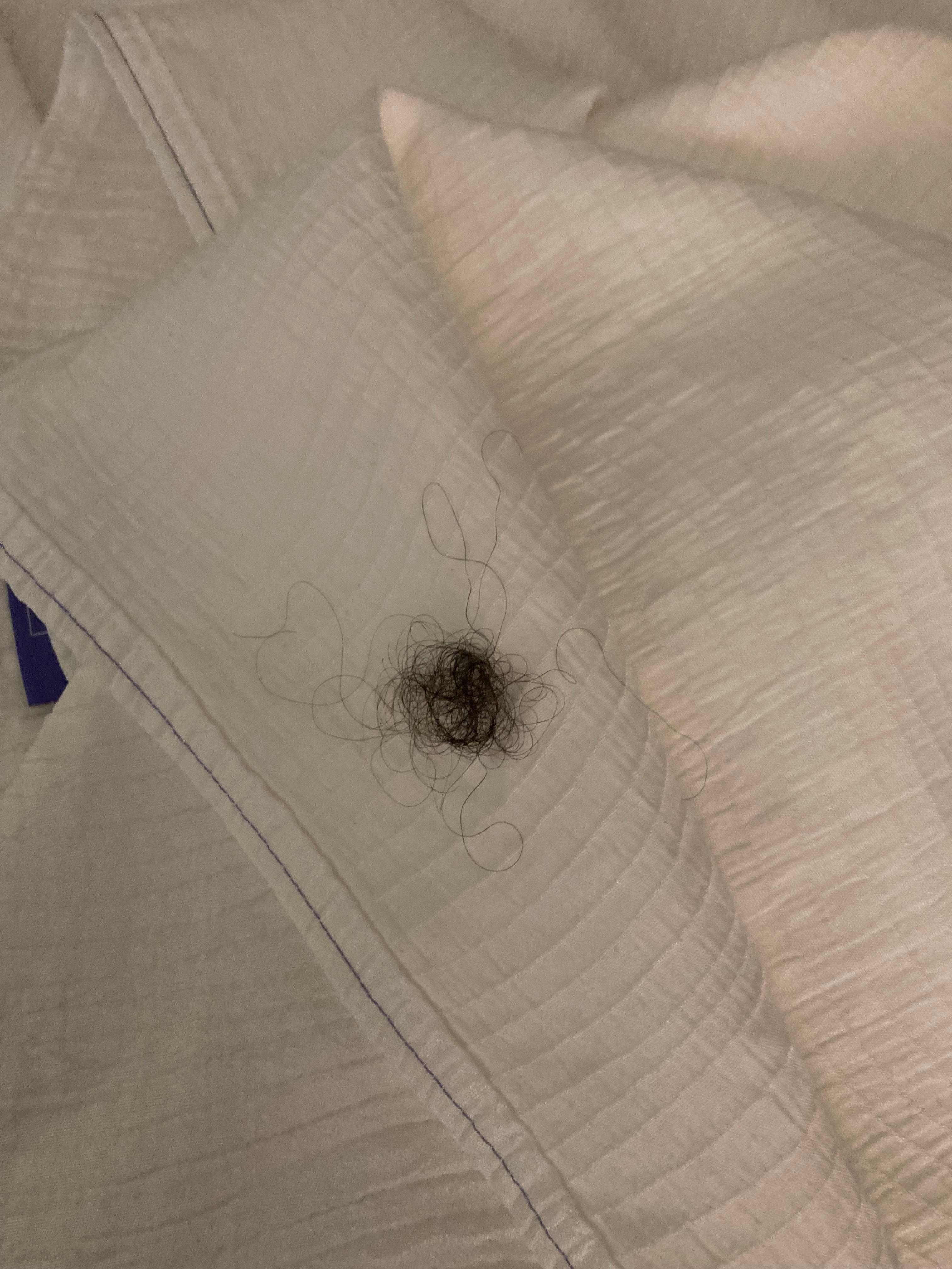 The huge pile of hair in our “clean” room