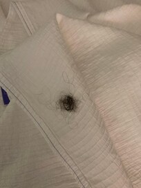 The huge pile of hair in our “clean” room