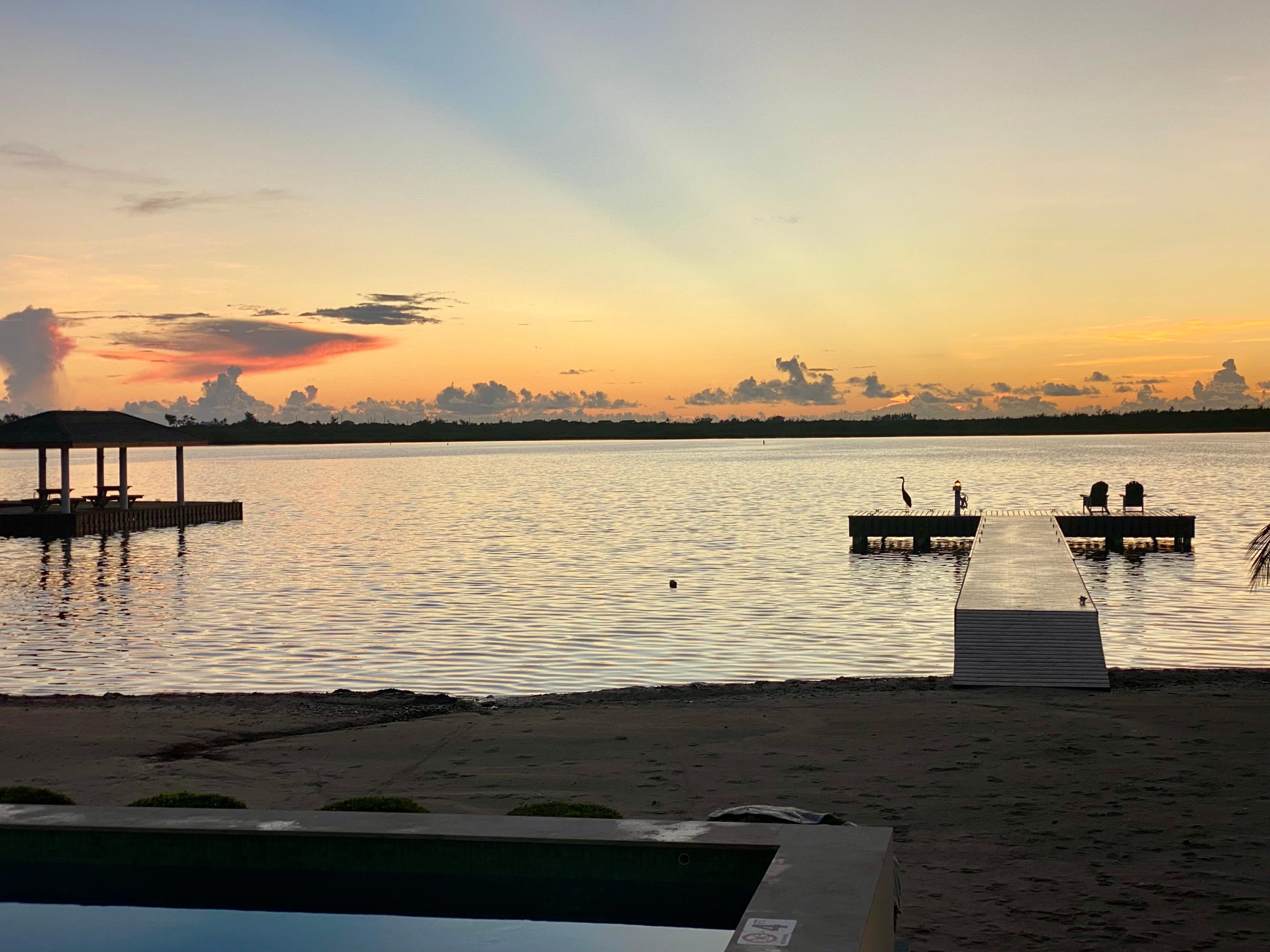 Bonus! A heron on the pier to begin this day.