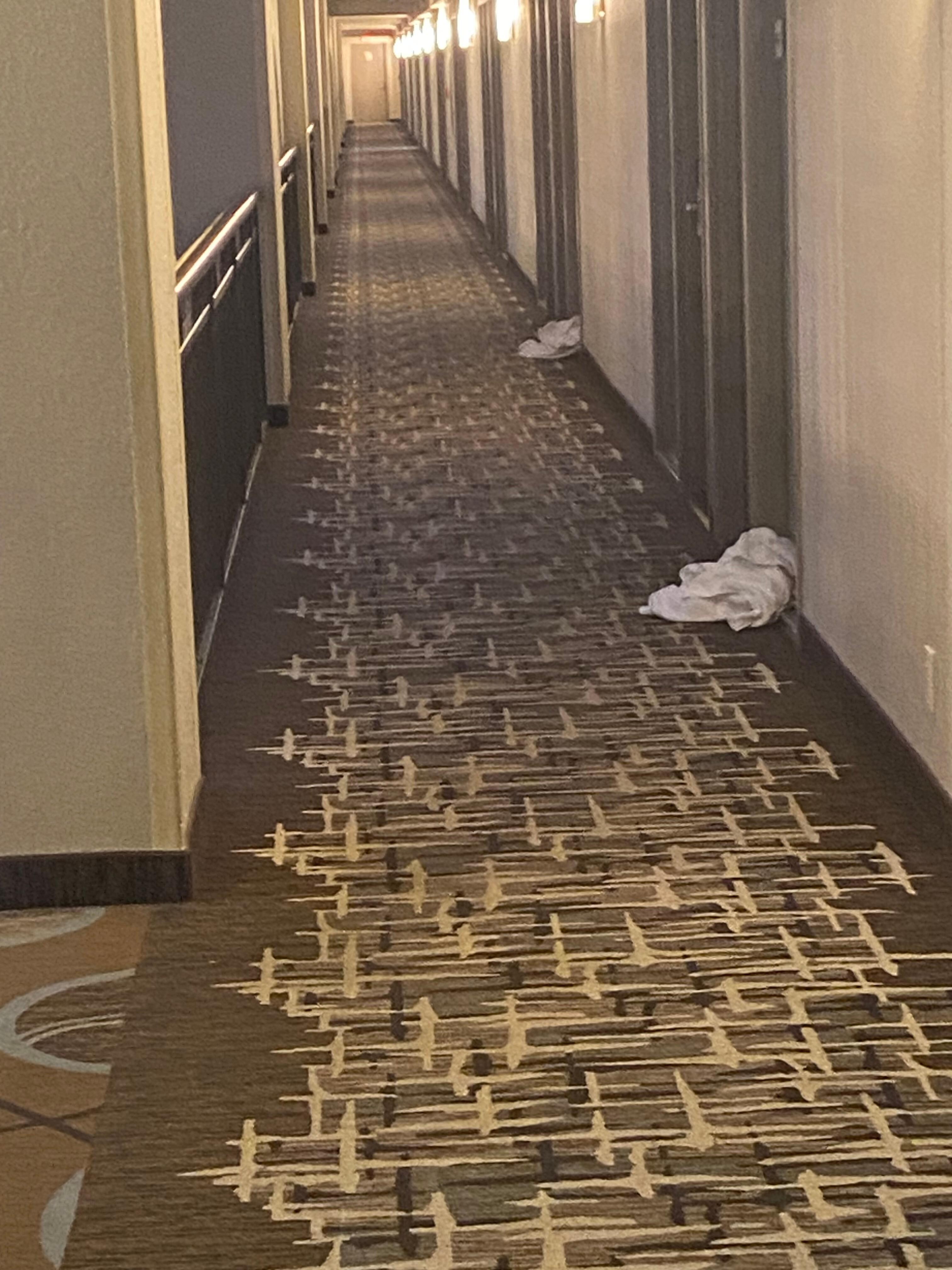 View from my room's door at 9 p.m. on June 5, 2025.   Still there on morning of June 6, 2025