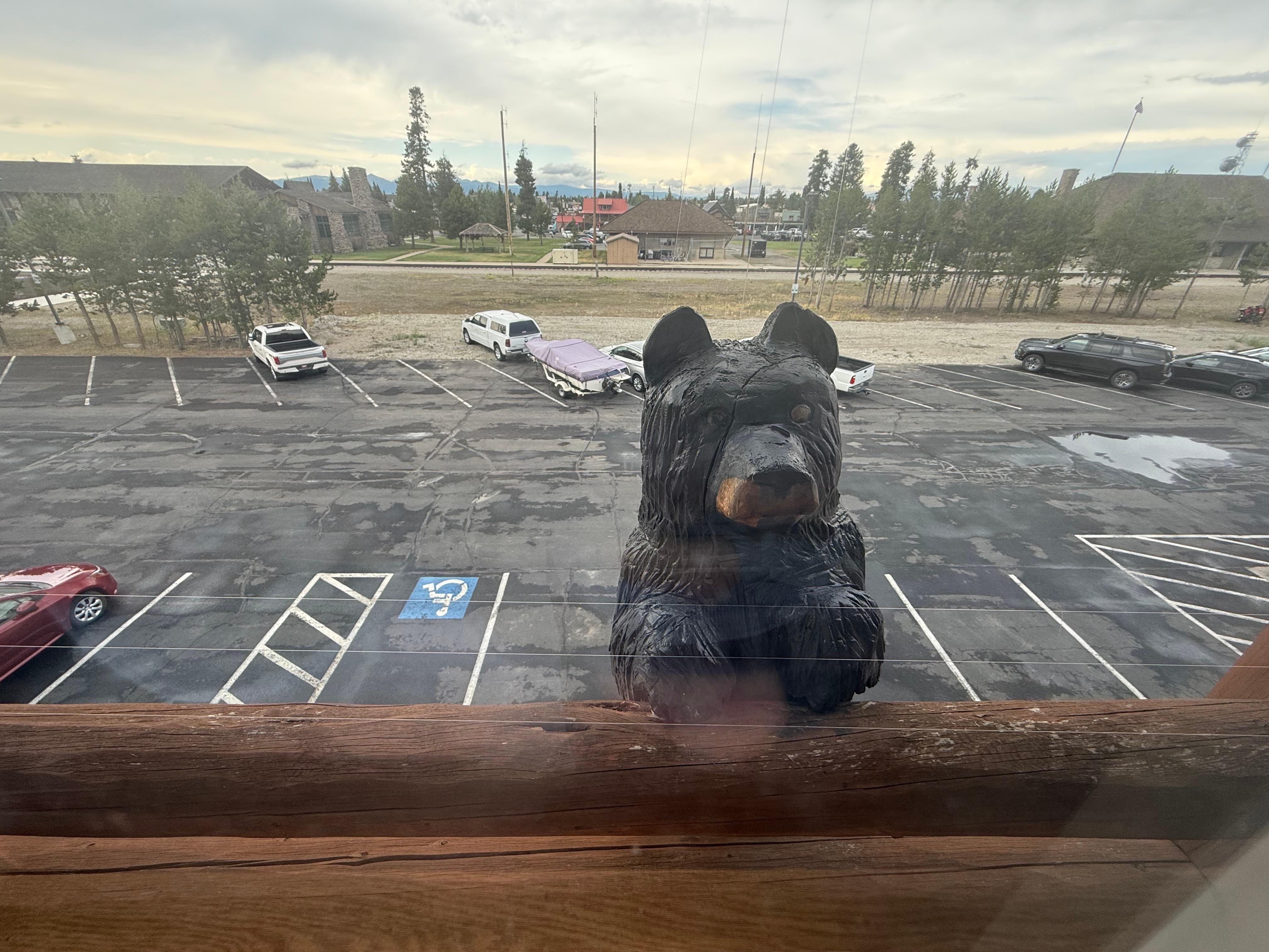 Bear in our hotel window