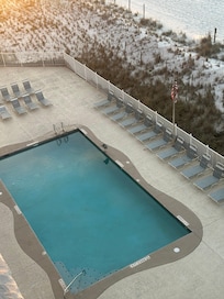 The pool with morning visitor