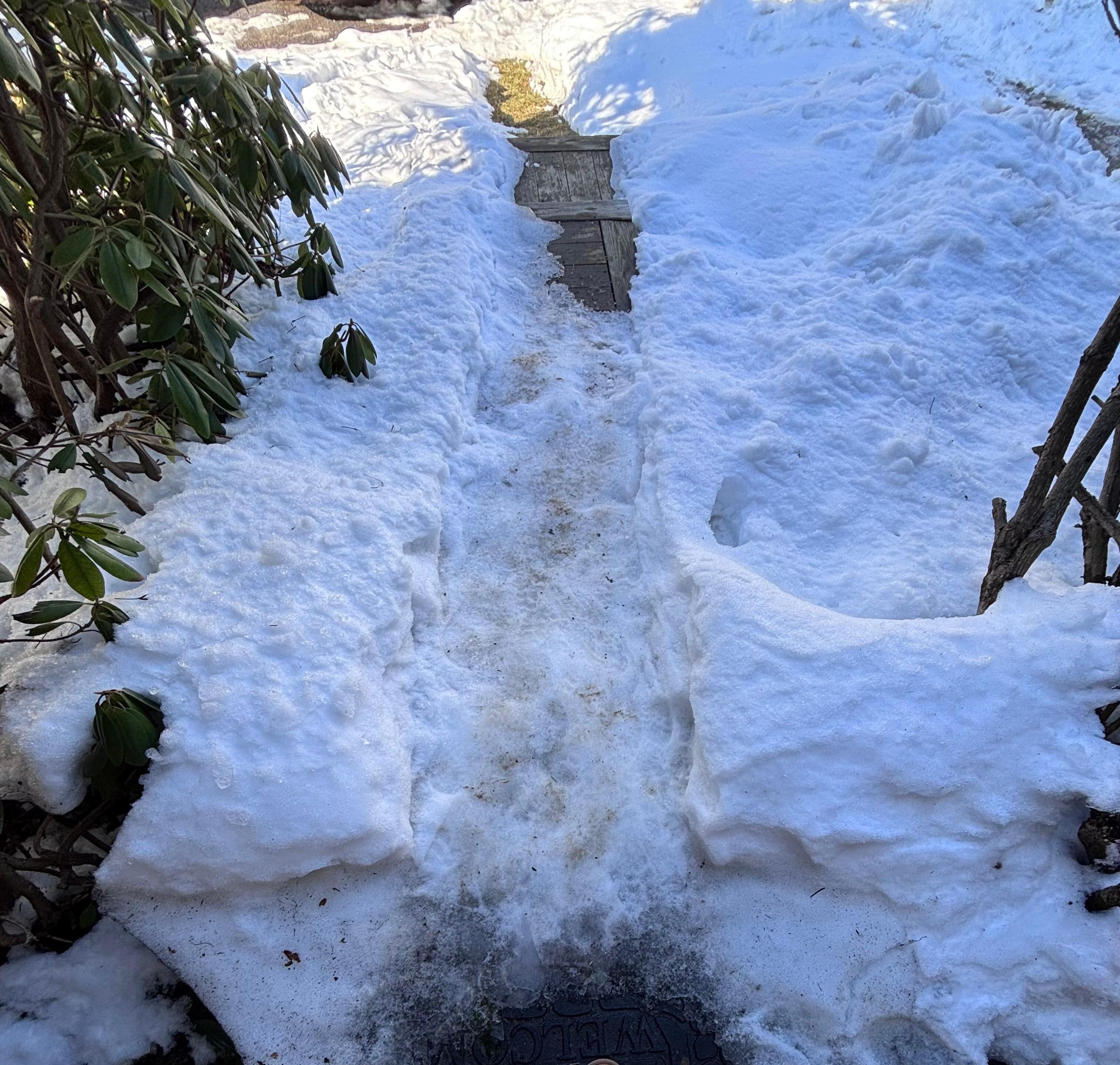 view from front door before shoveled 