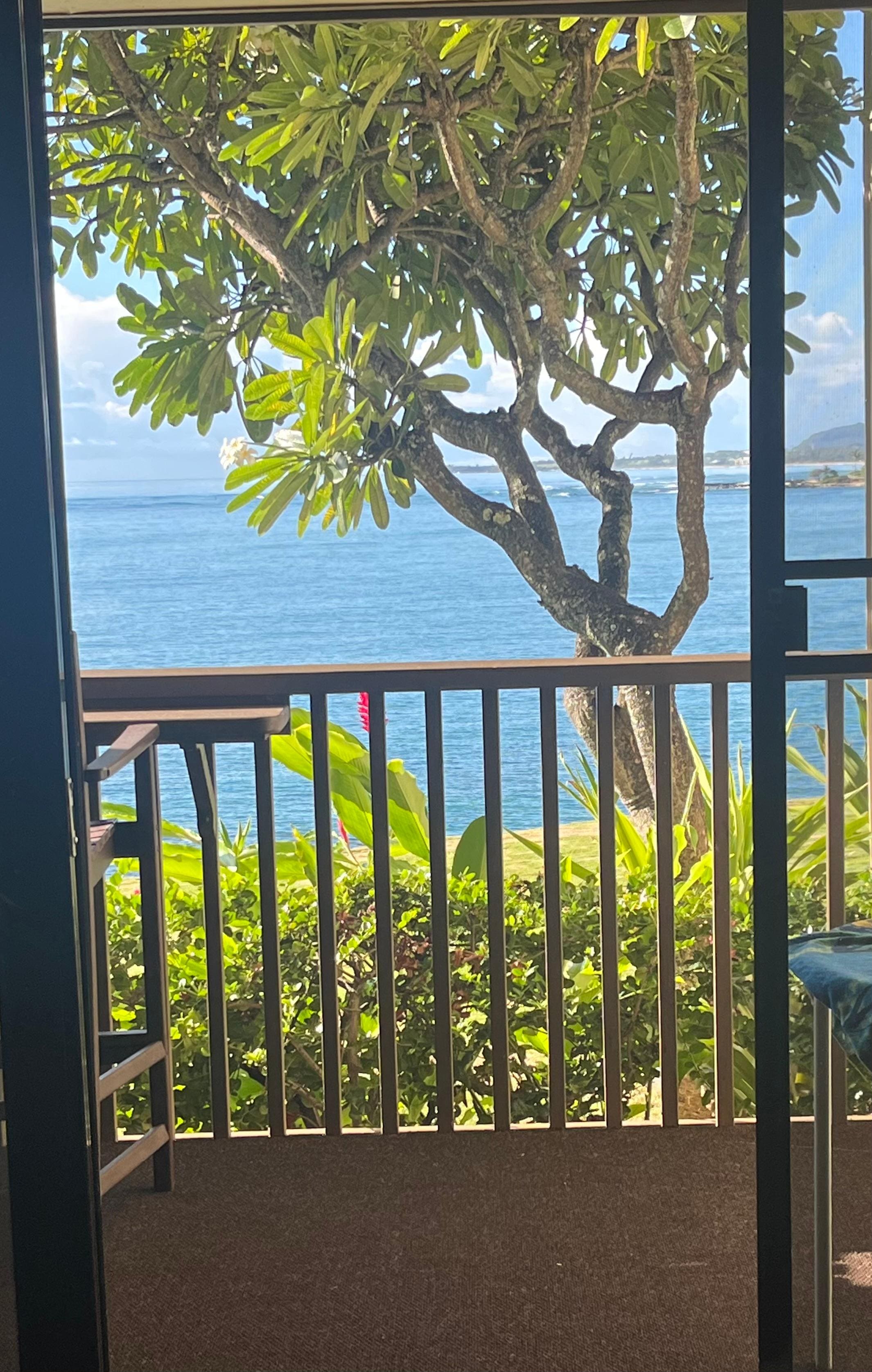 View from our living room.