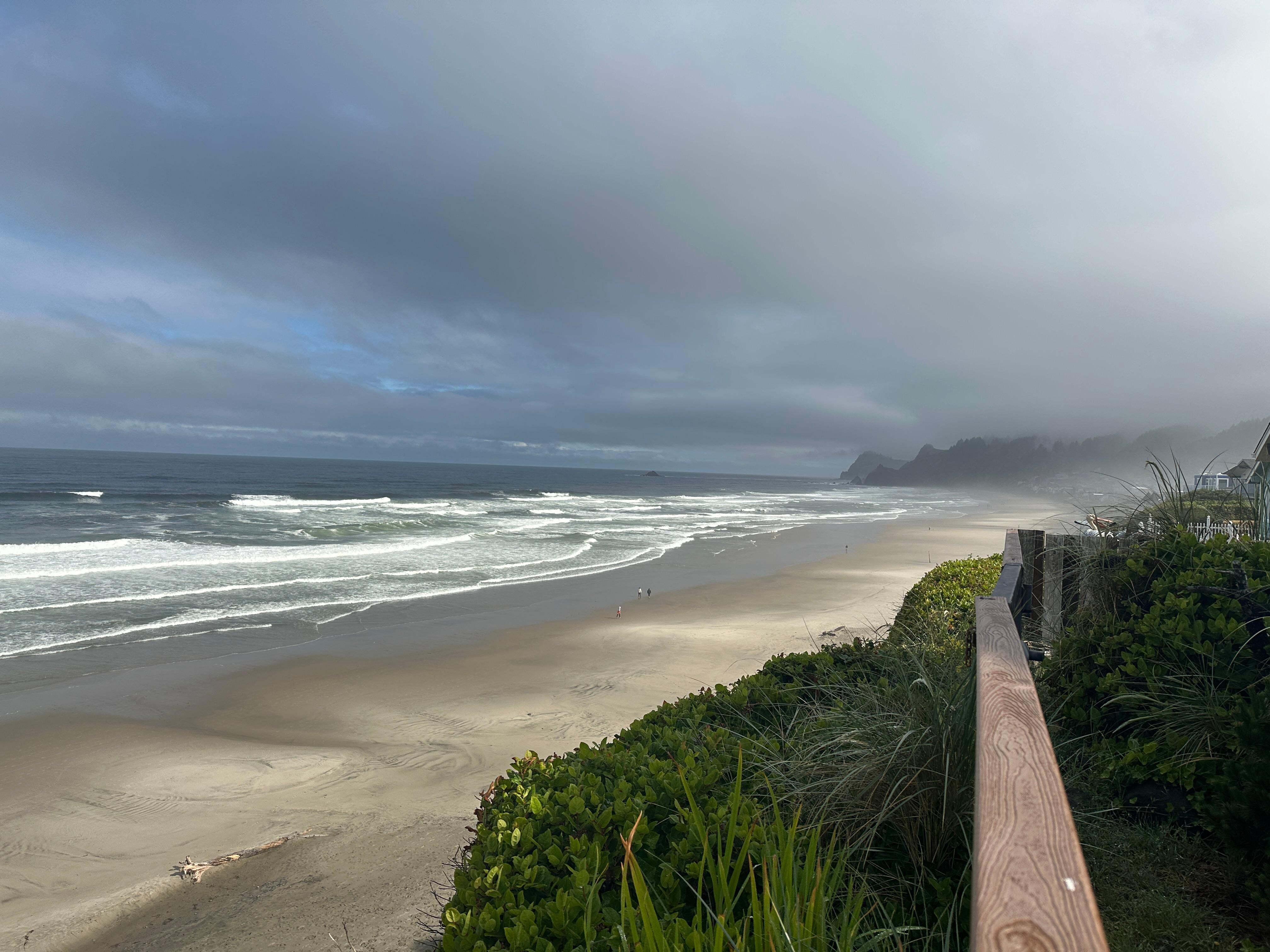 Ocean view 