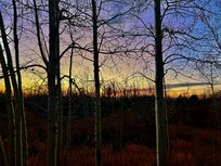 View from the porch.