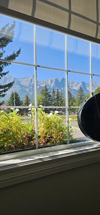 View from the restaurant