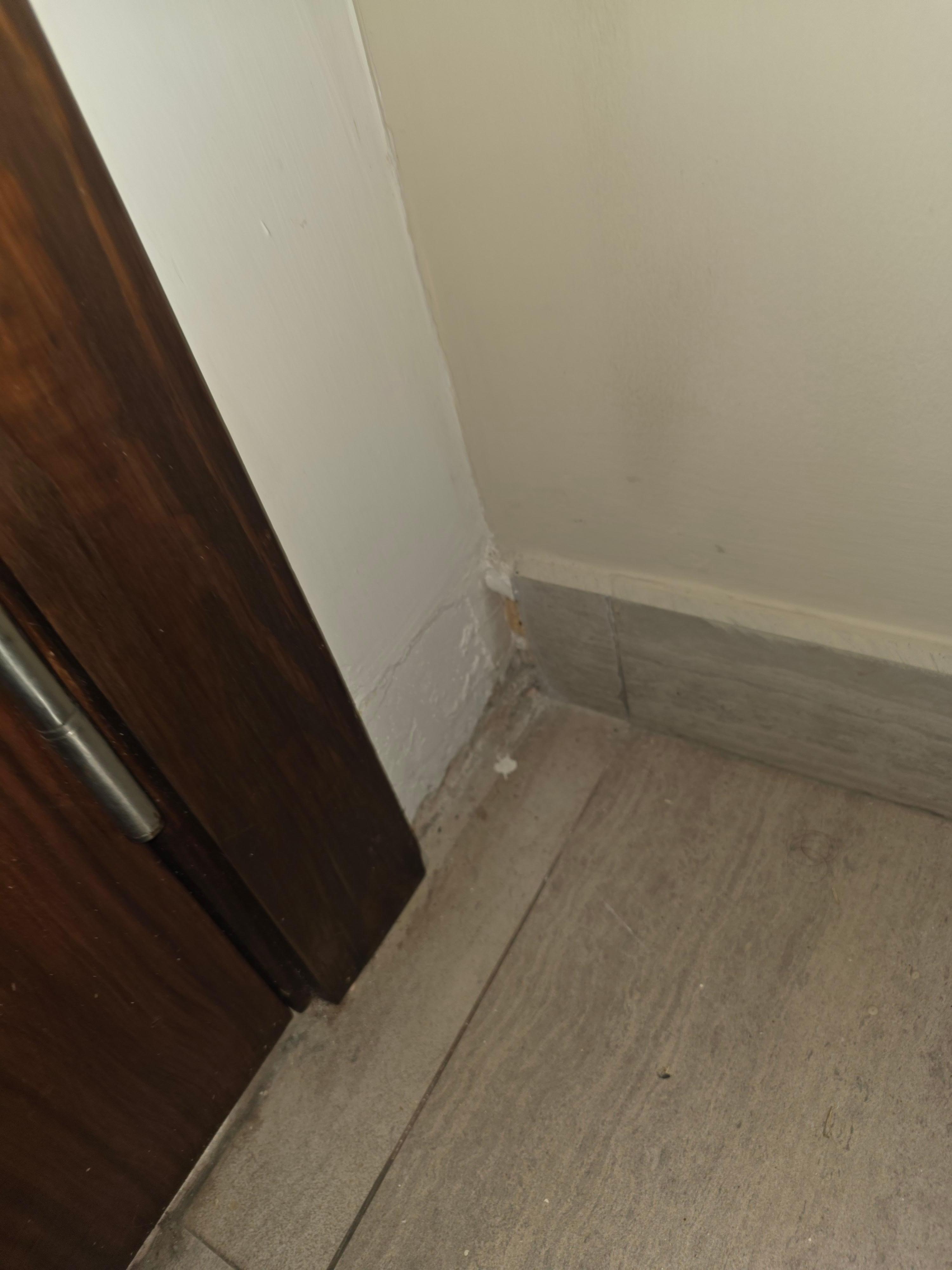 Missing tiles and molding