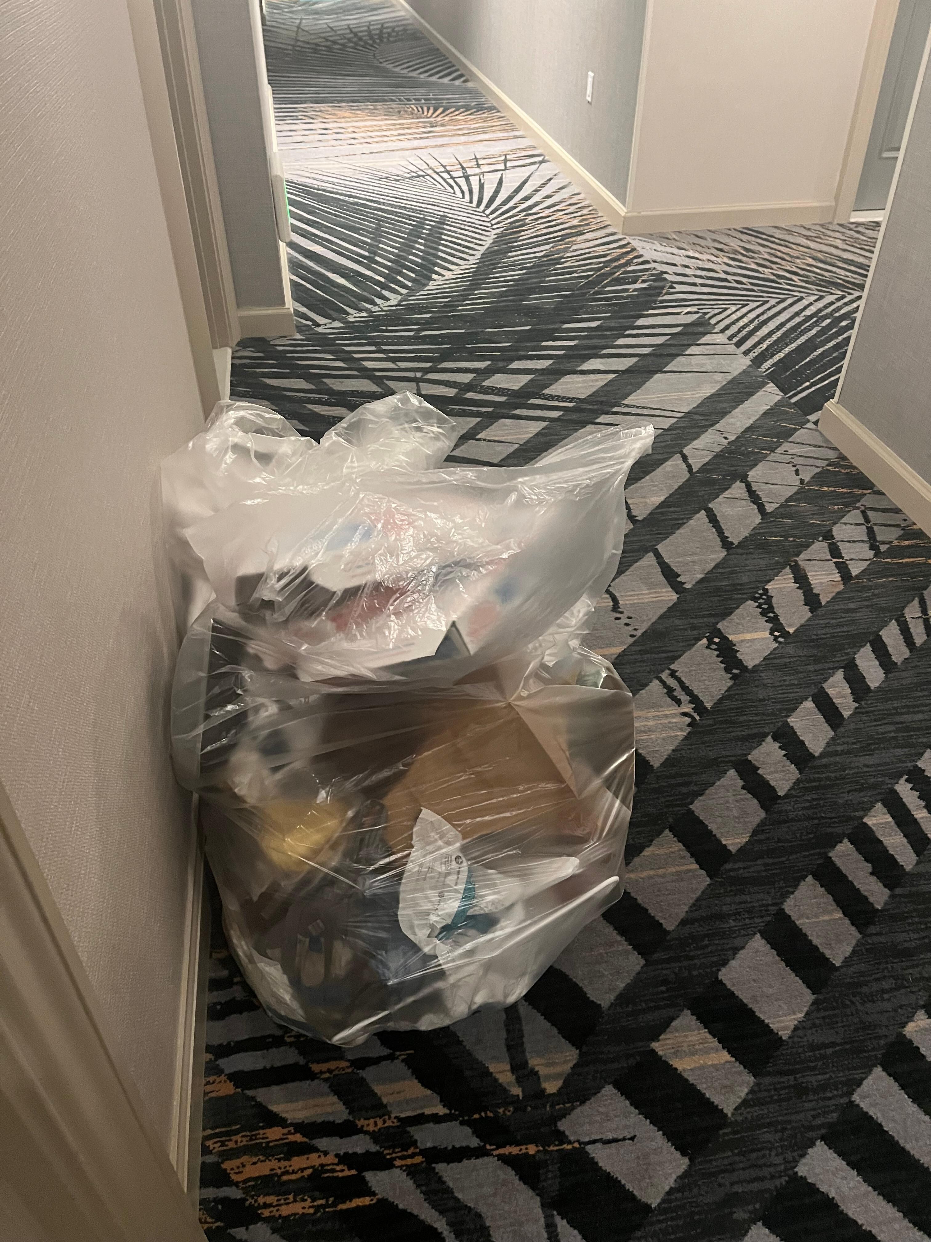 This was the bag of garbage that was outside the room the entire stay. 