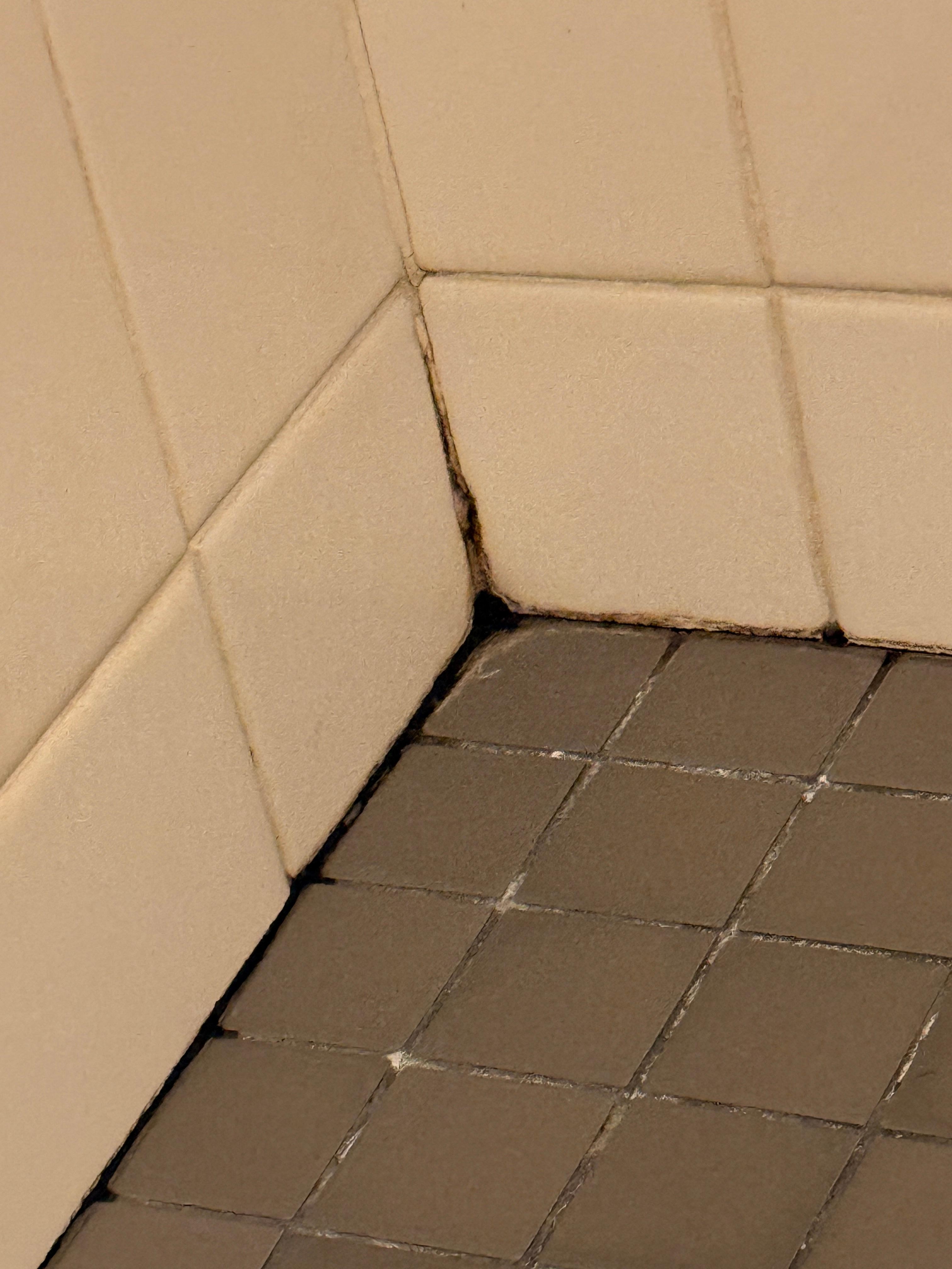 Mold in shower