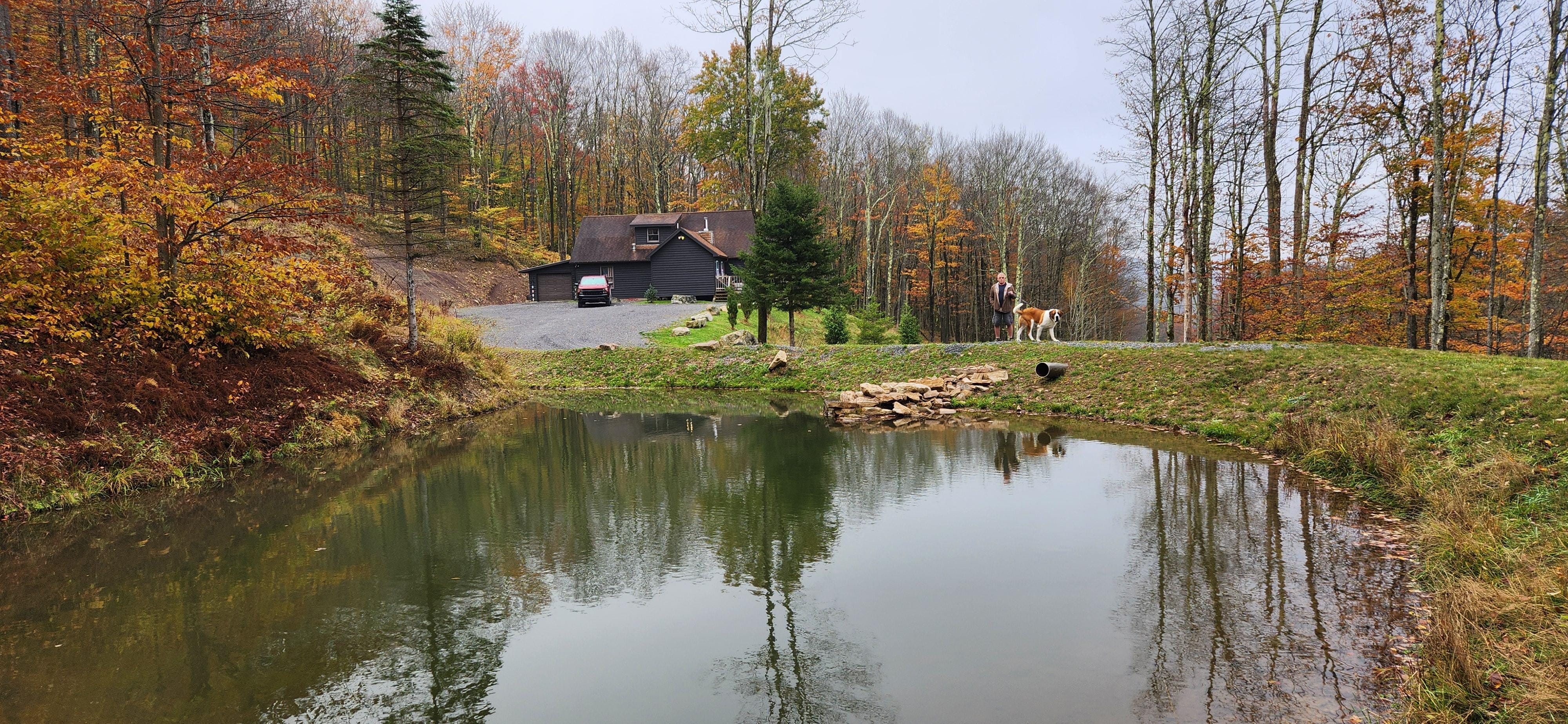 Walk around the pond