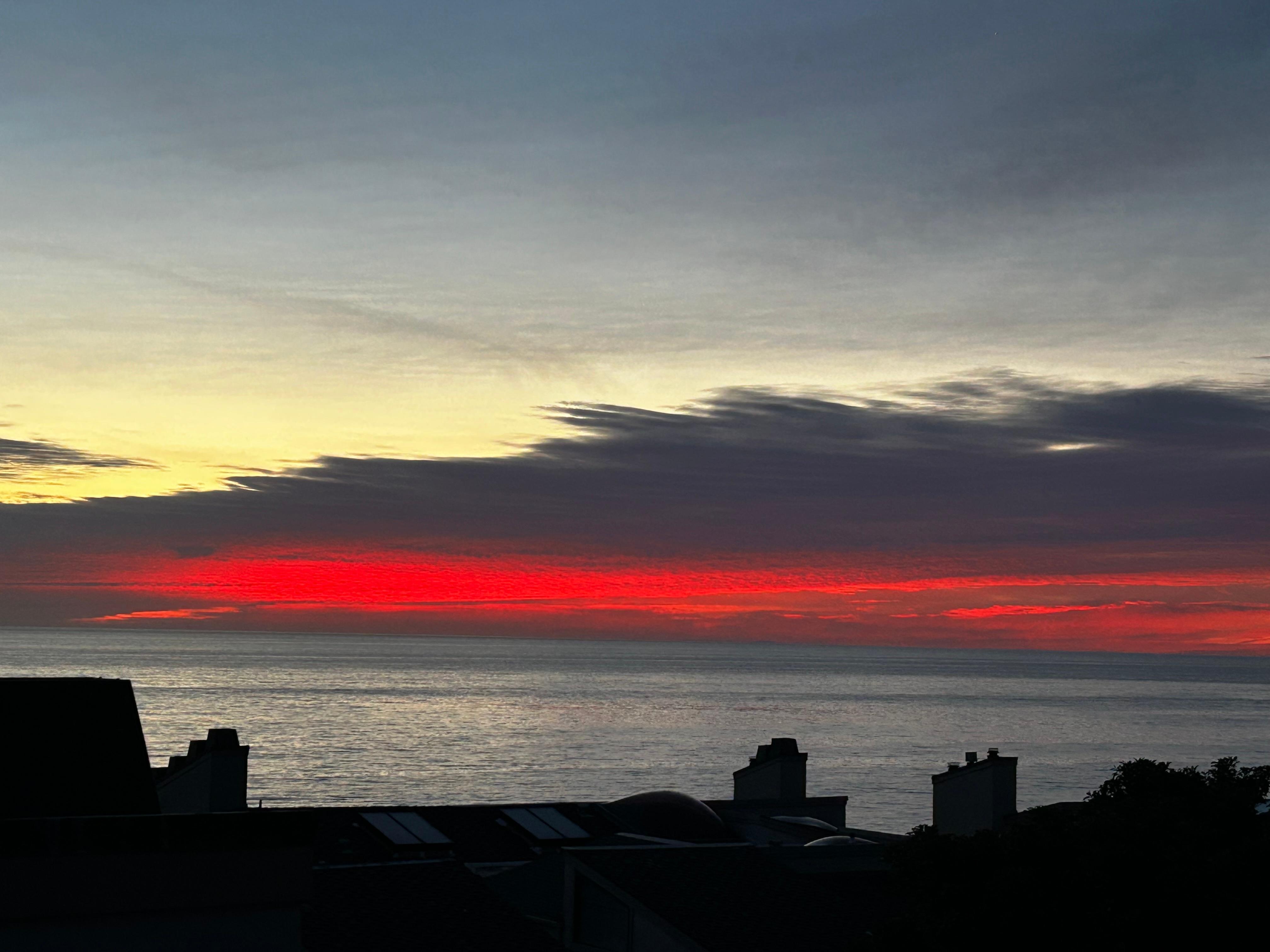 A nest from the balcony. 