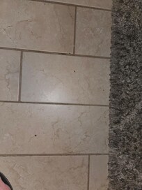 Dirty floors