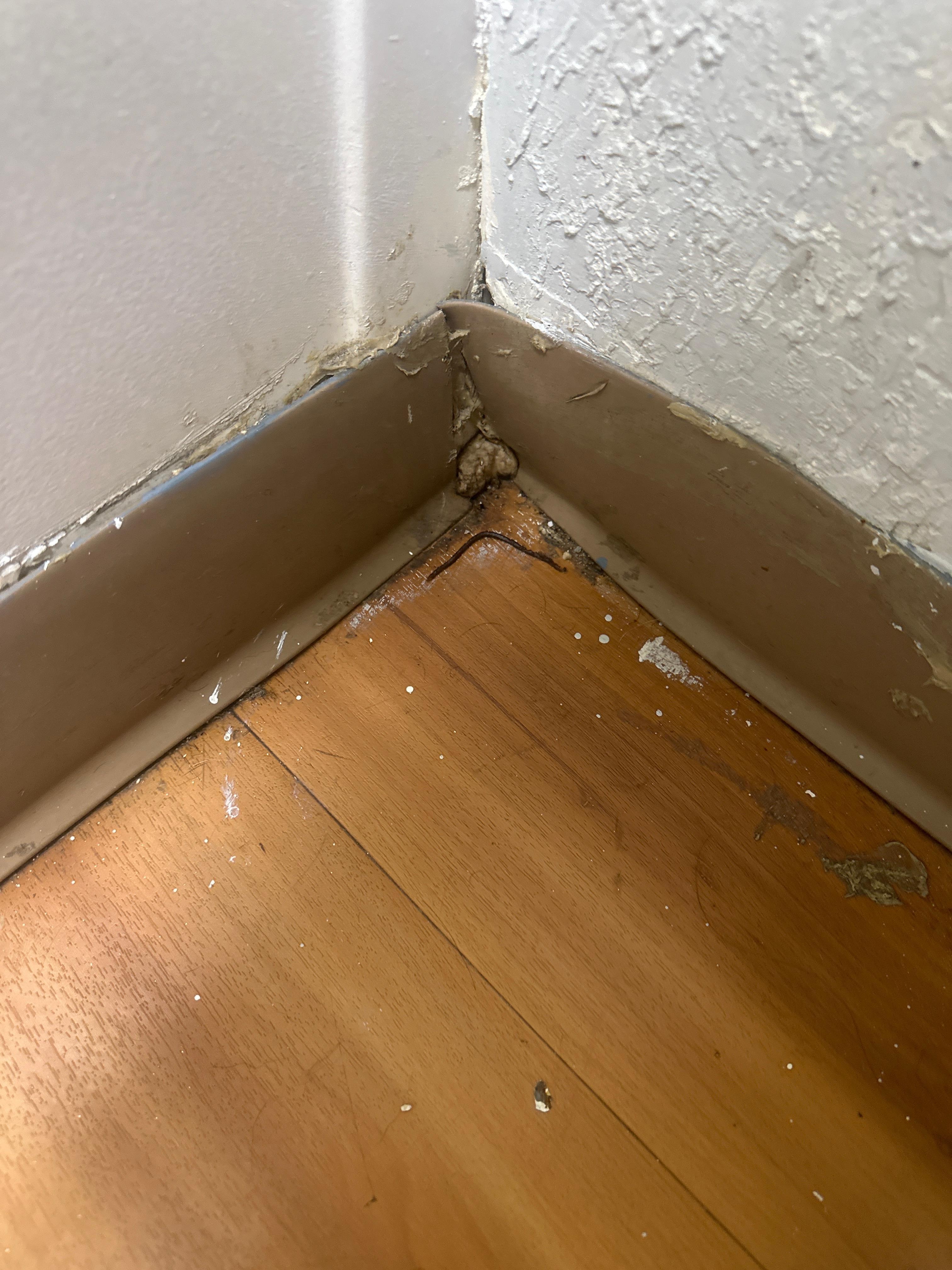 Conditions of bathroom