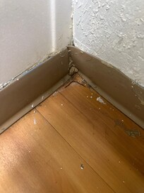 Conditions of bathroom