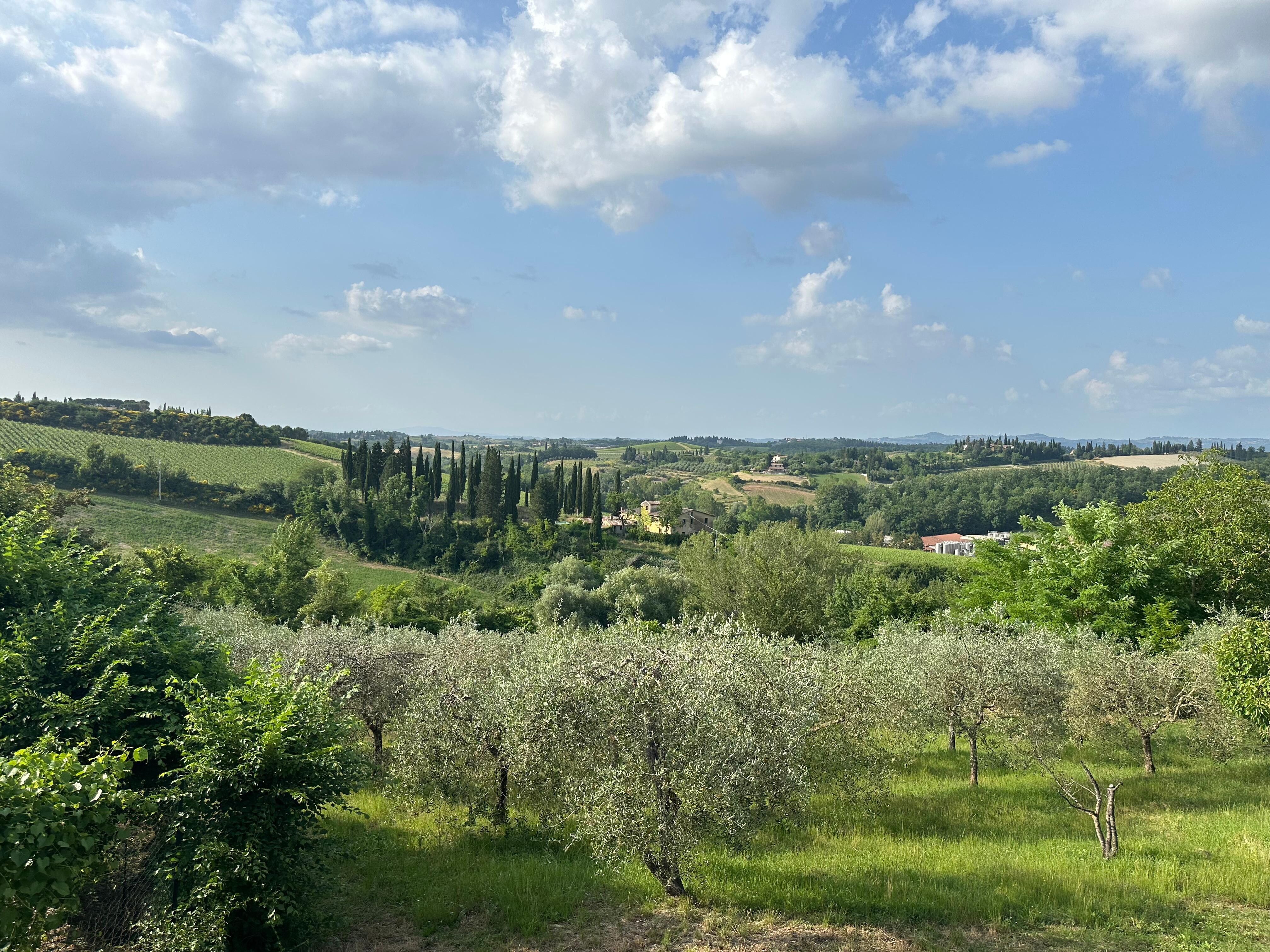 Across the valley from the garden