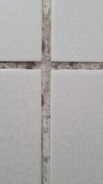 Mold