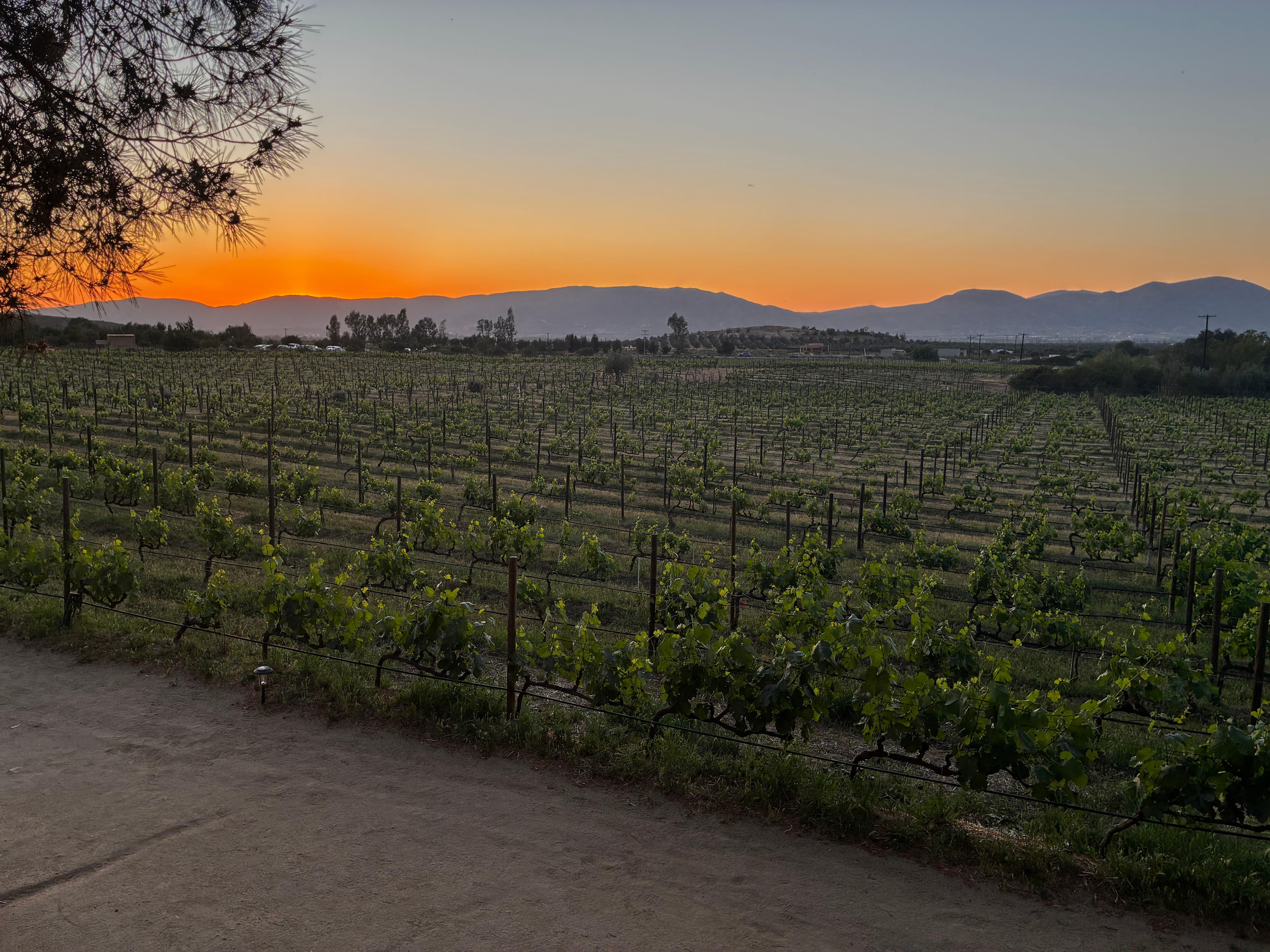 Sunset 0.5 mile away while at dinner