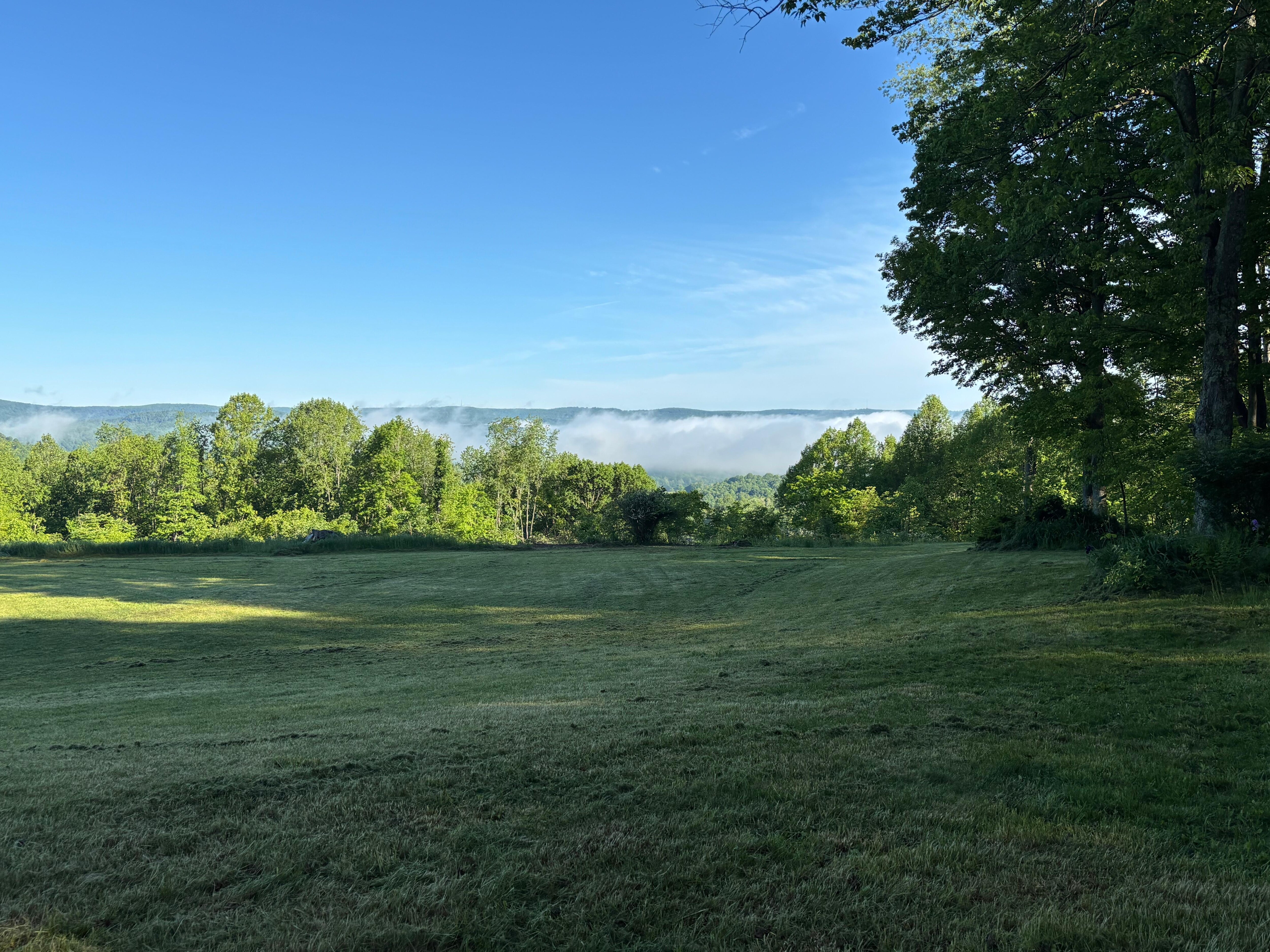 Morning view 