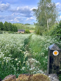 Local walk