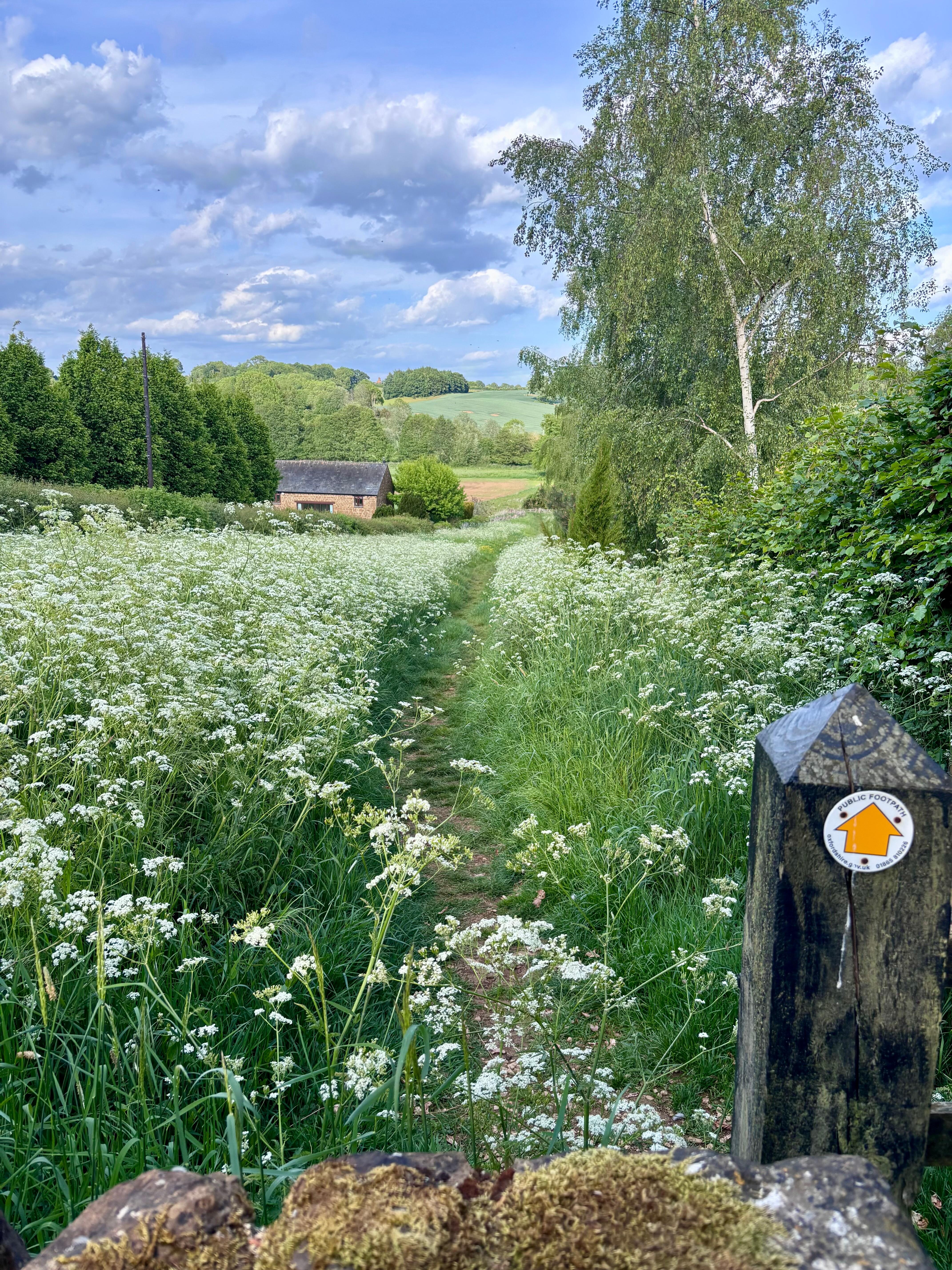 Local walk