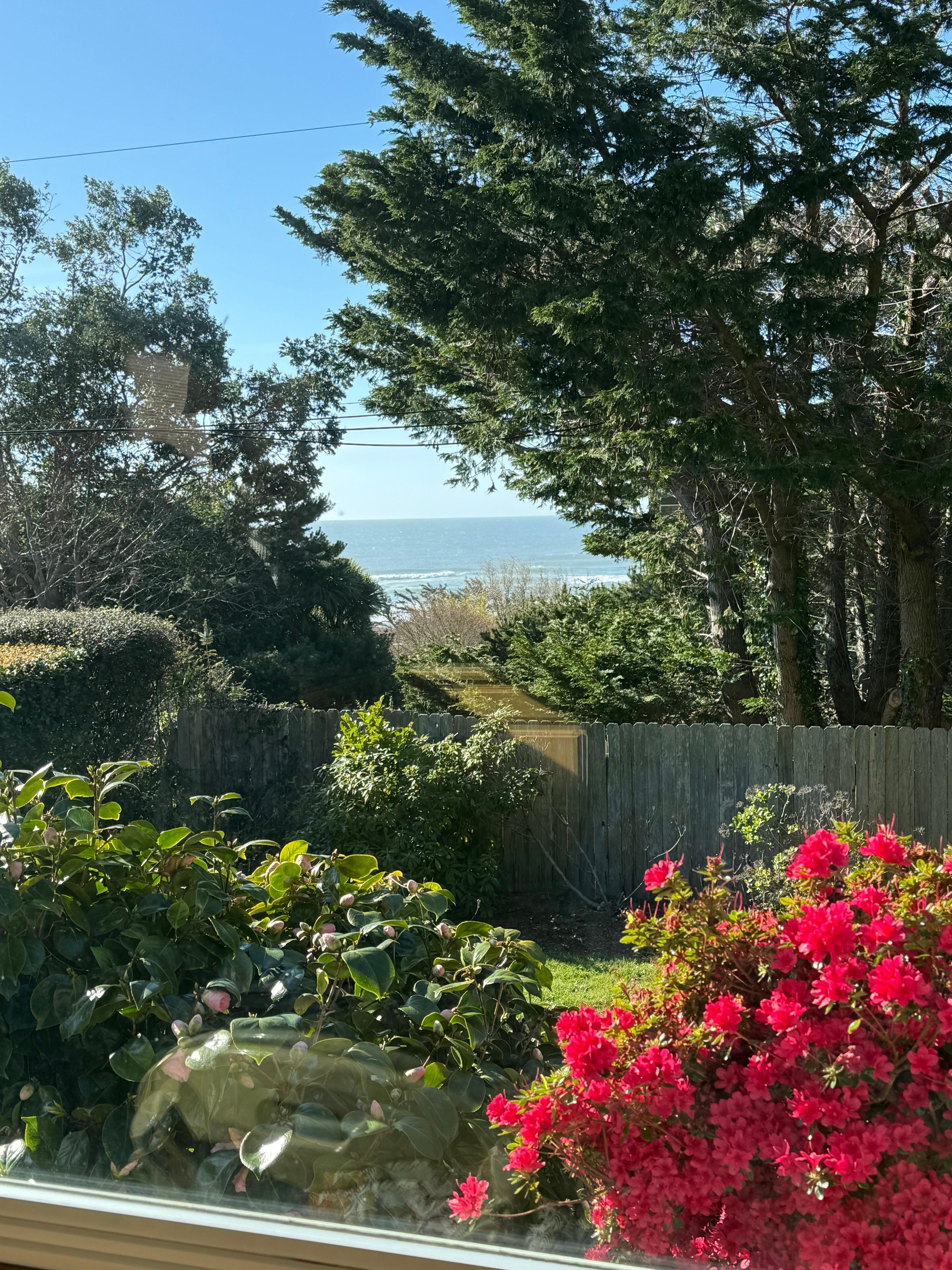 Great view from the kitchen.