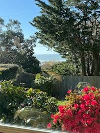 Great view from the kitchen.