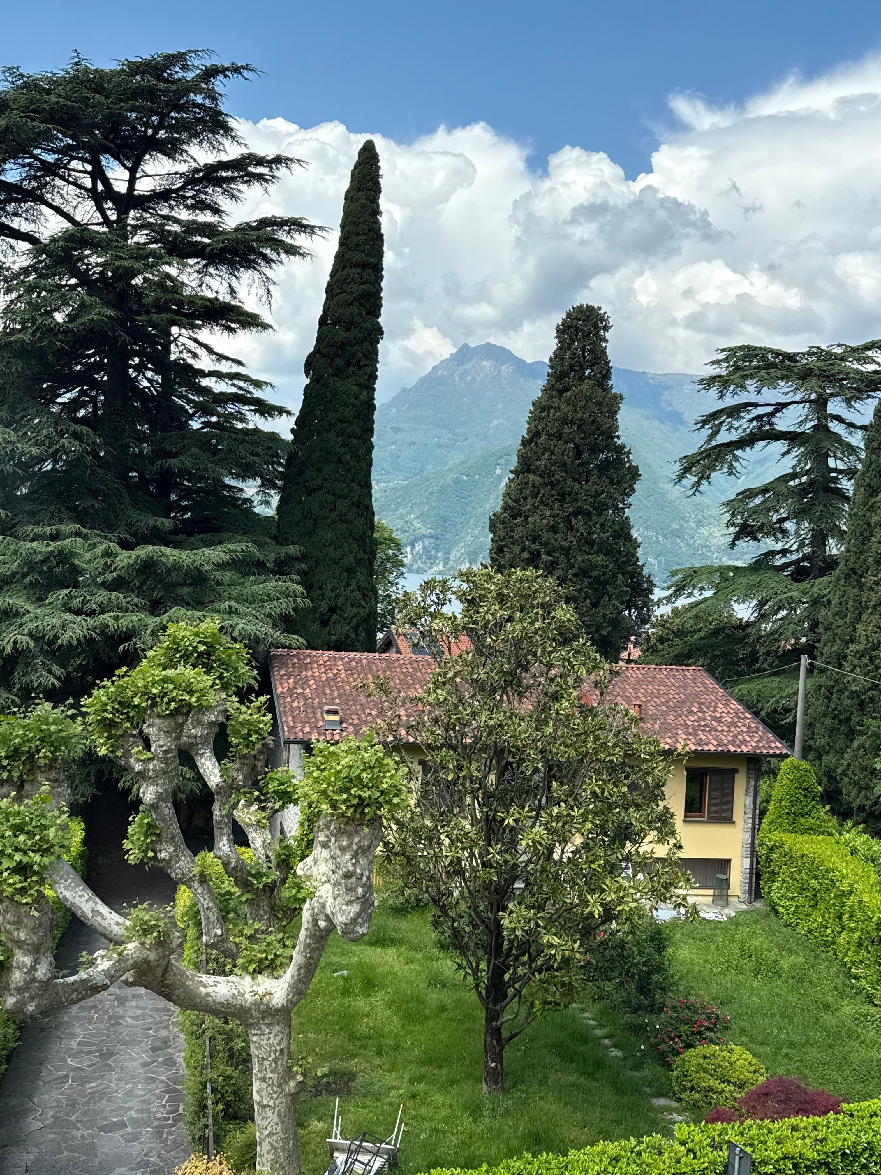 View from my window. 
