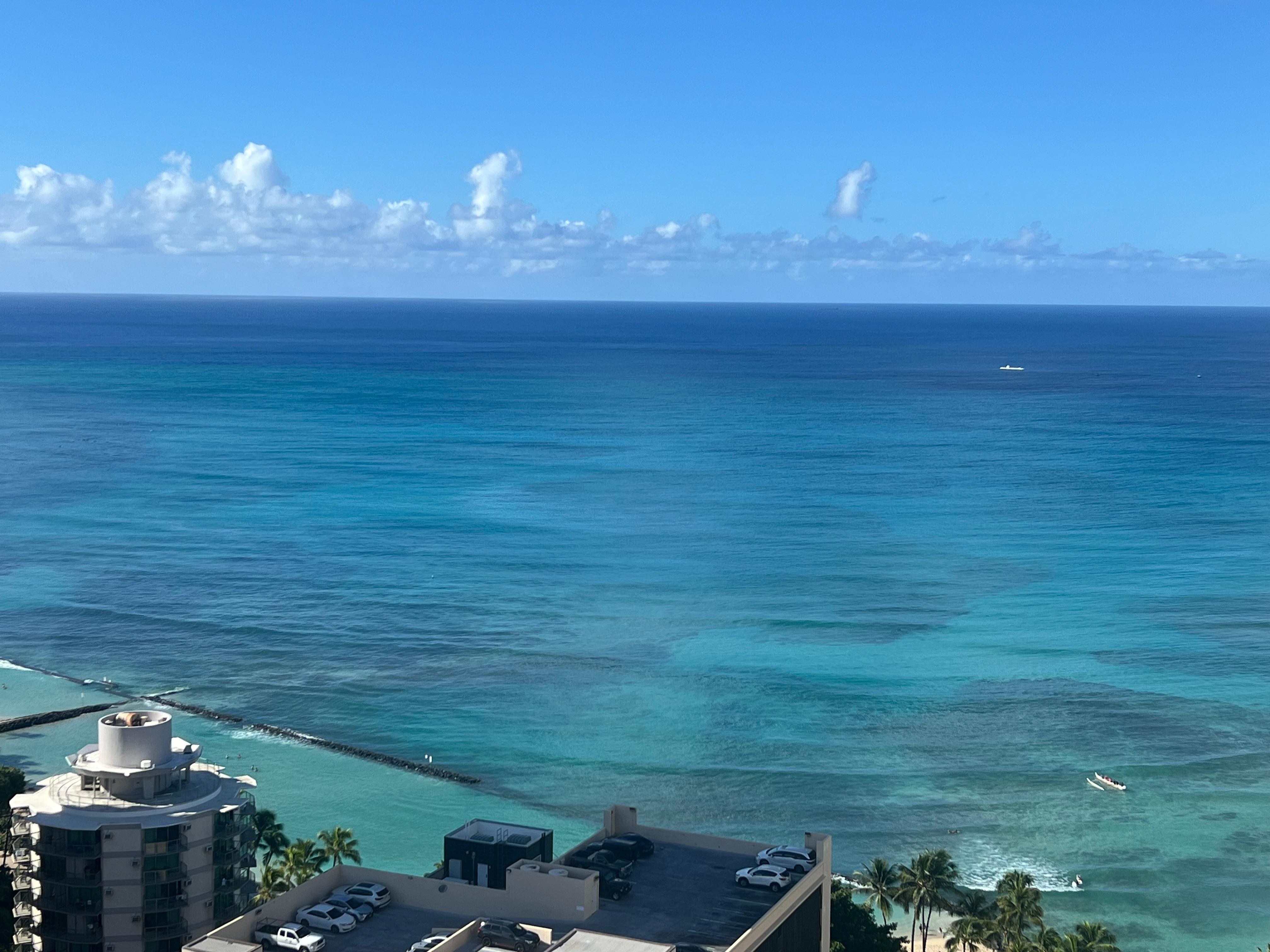 View from the rooftop pool