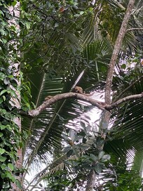 View outside