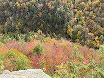Spectacular valley at Blackwater Falls