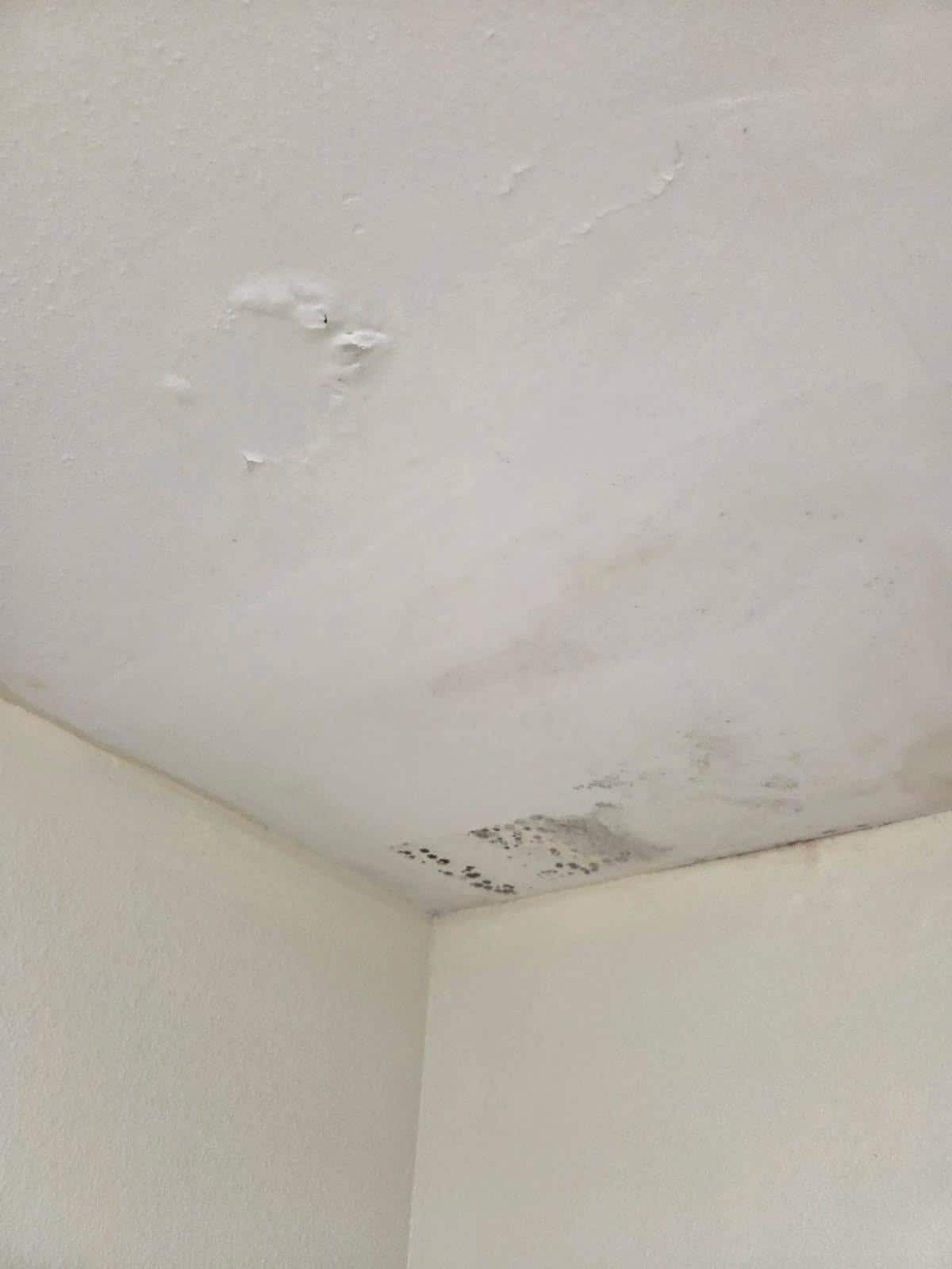 Mold in bathroom