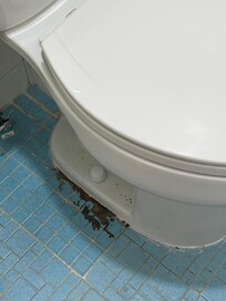 Yuck leaking toilet base. Awful smell.