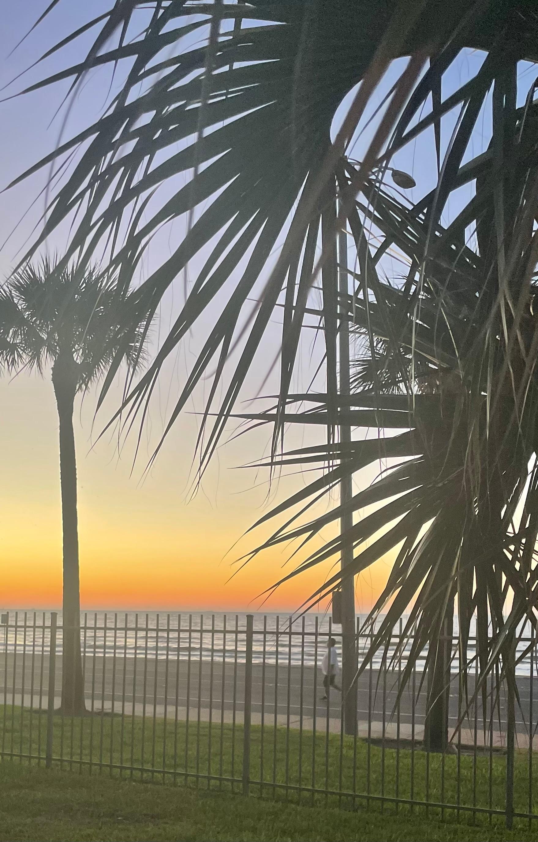 Sunrise from the patio