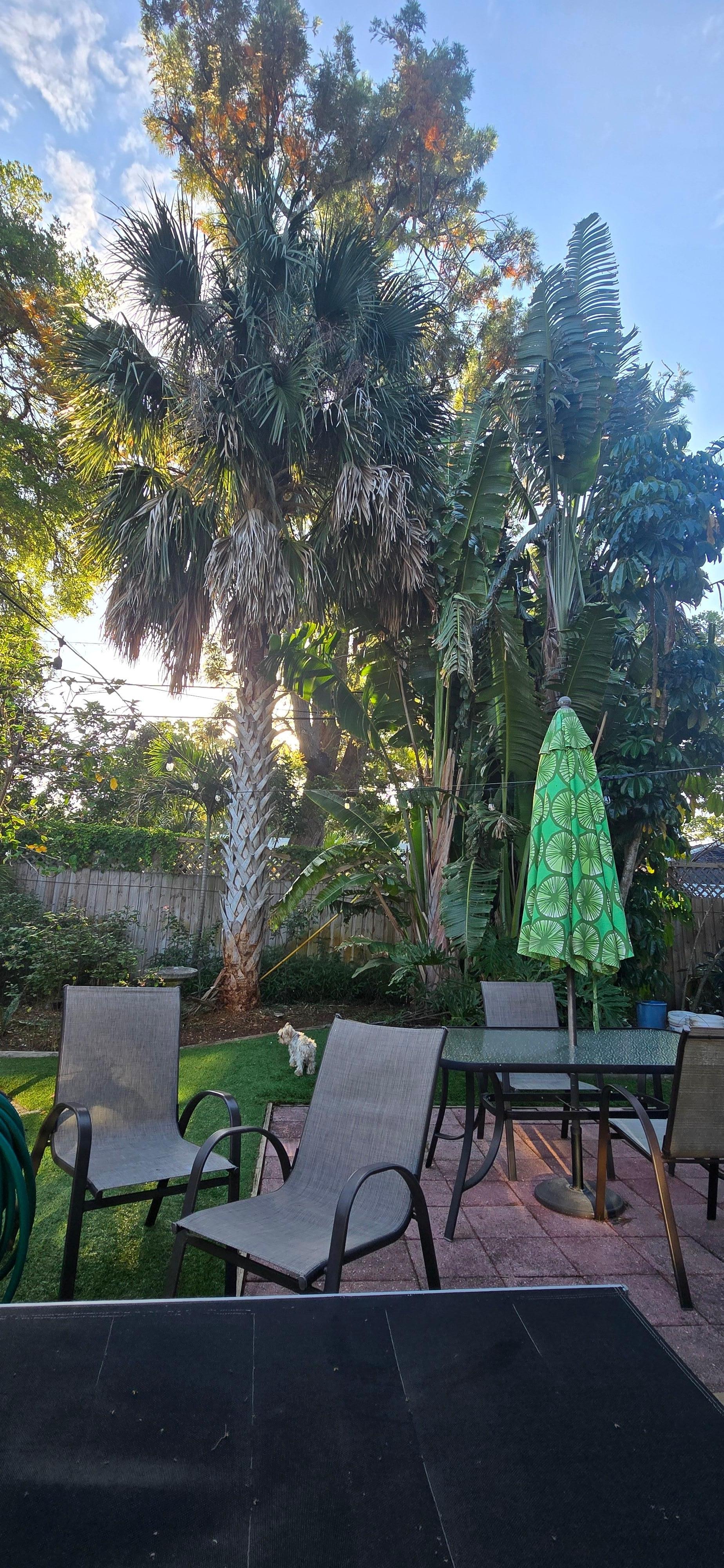 Nice plants and landscaping