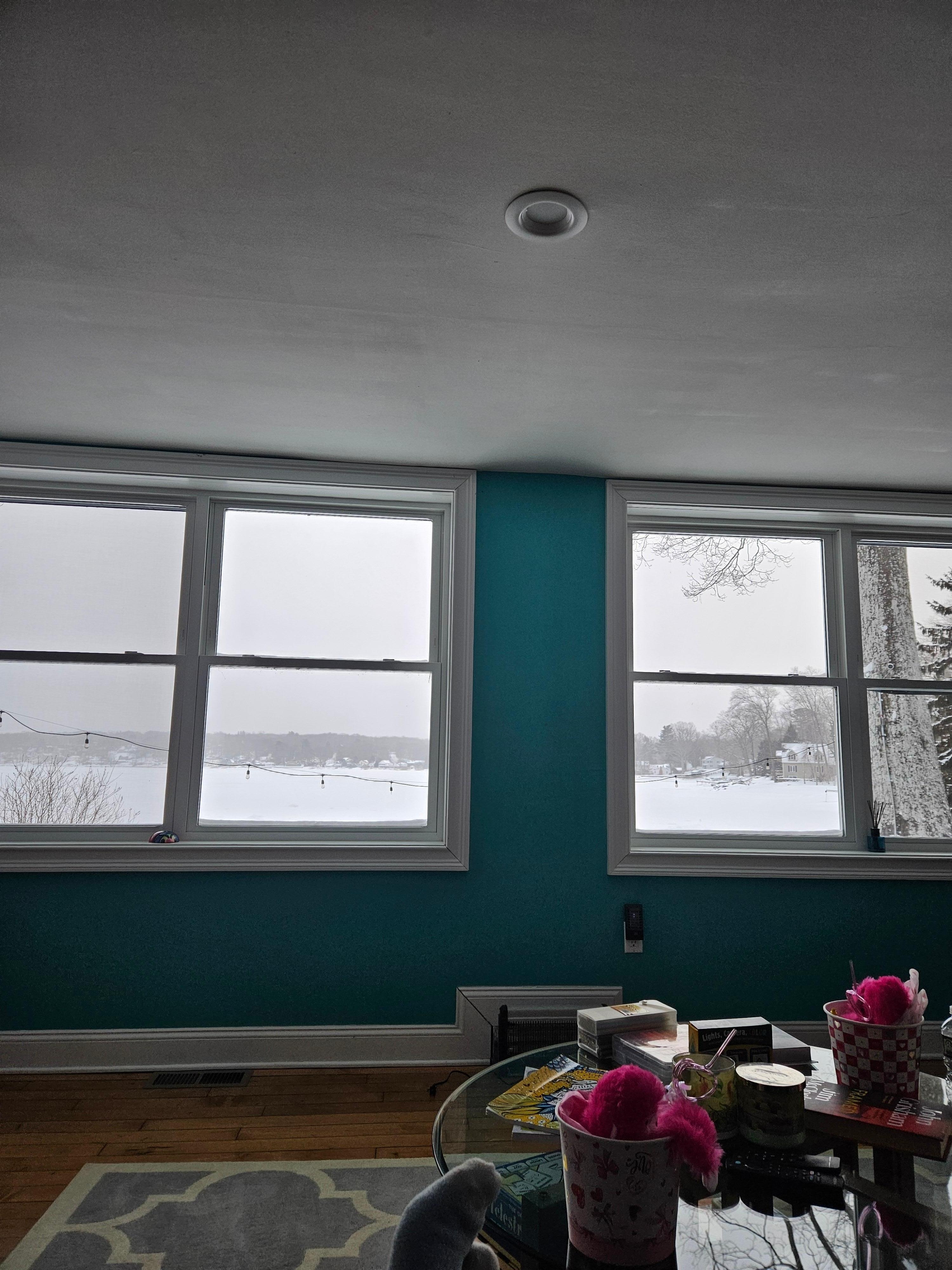 Gorgeous view from living room