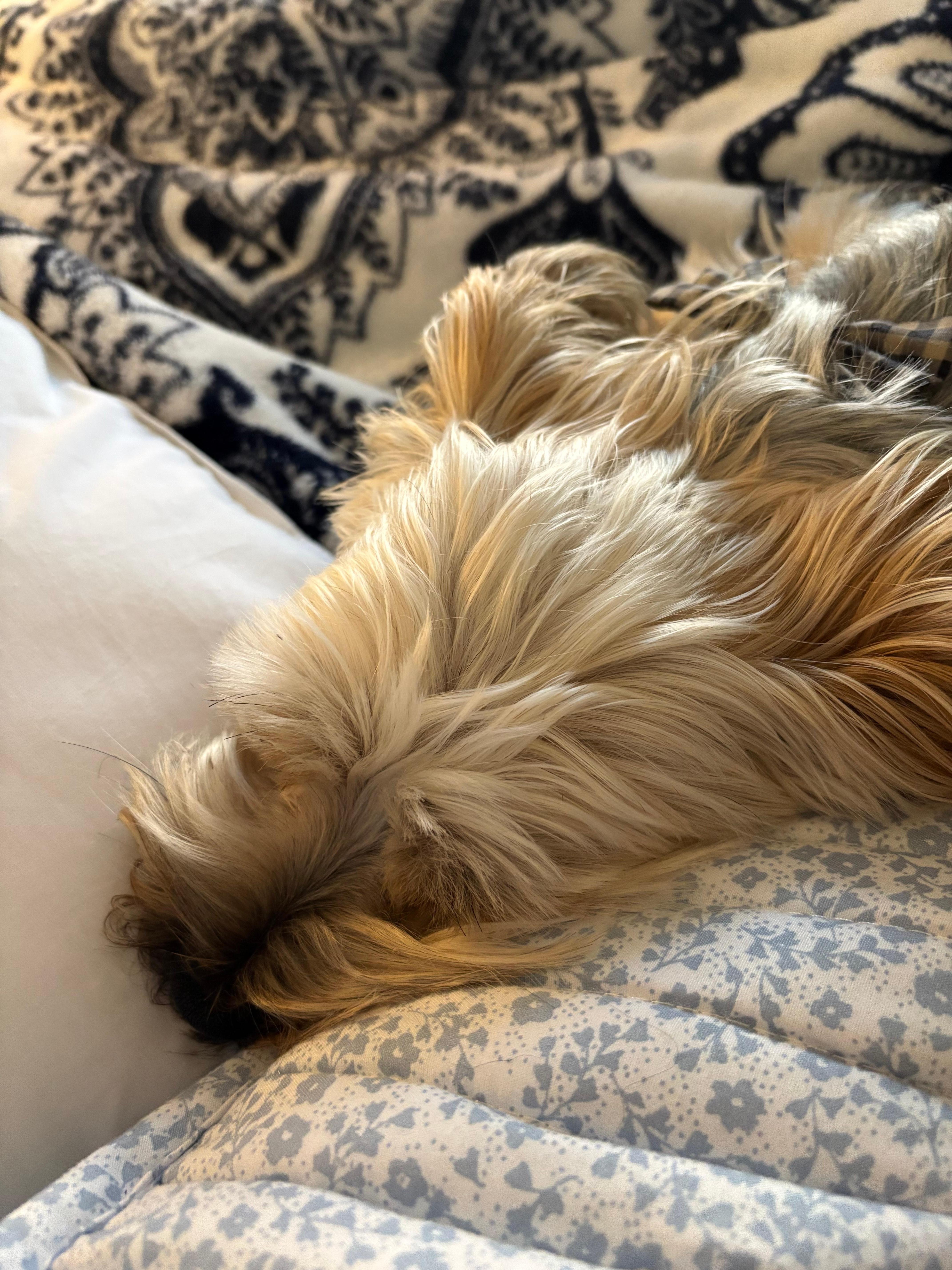 Home was extremely cozy.