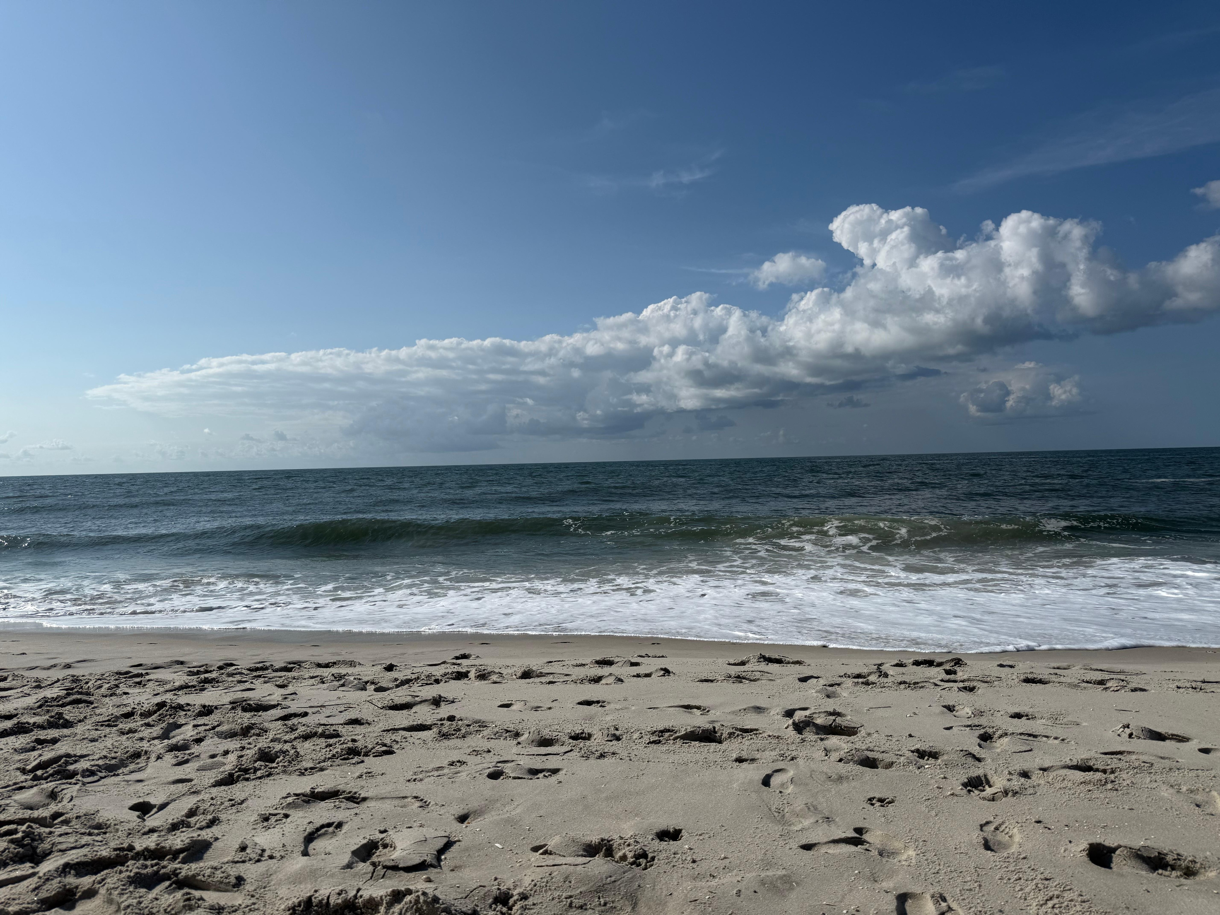 Higbee Beach a couple of mins from the property