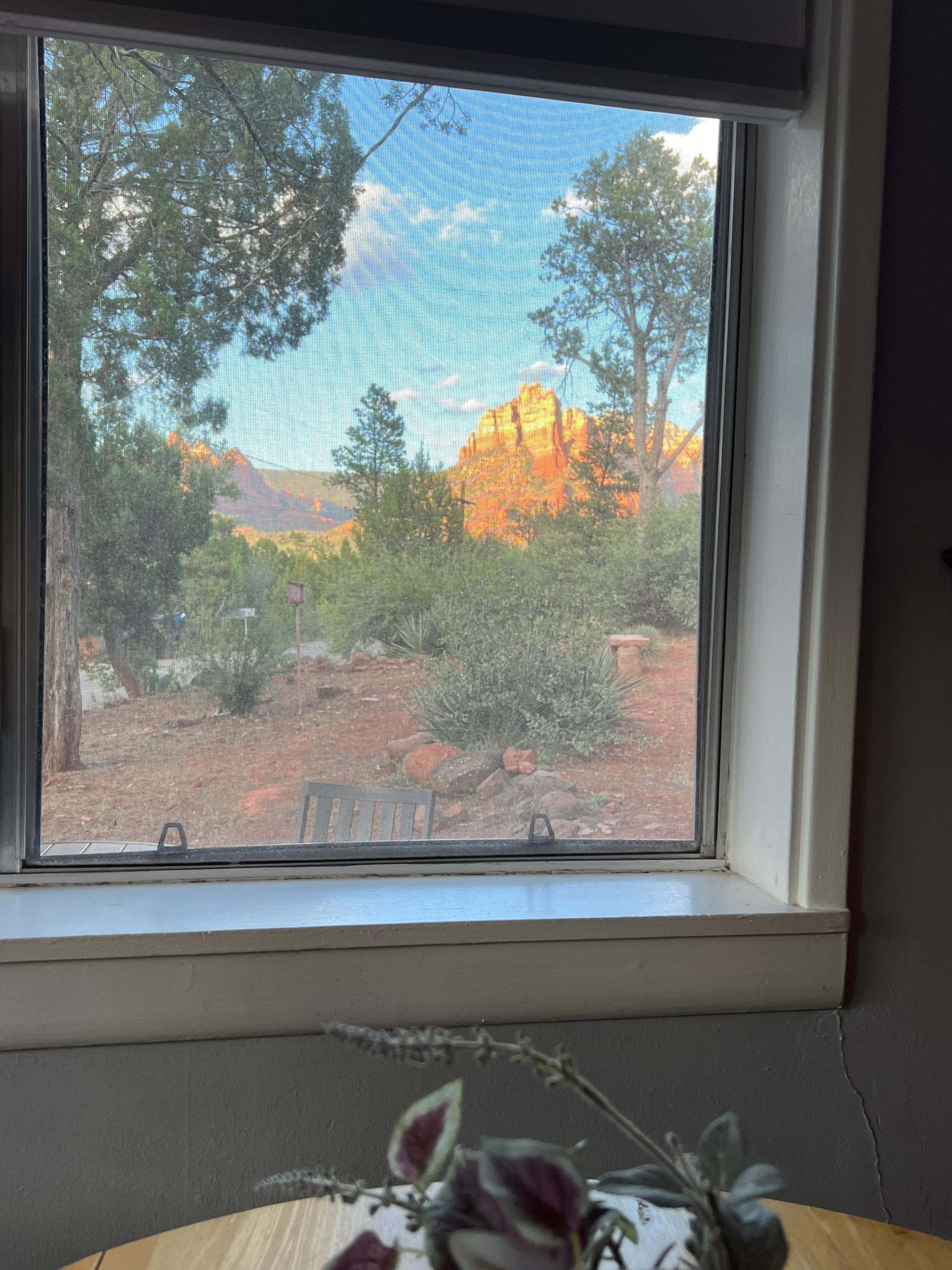 View from the dining table 