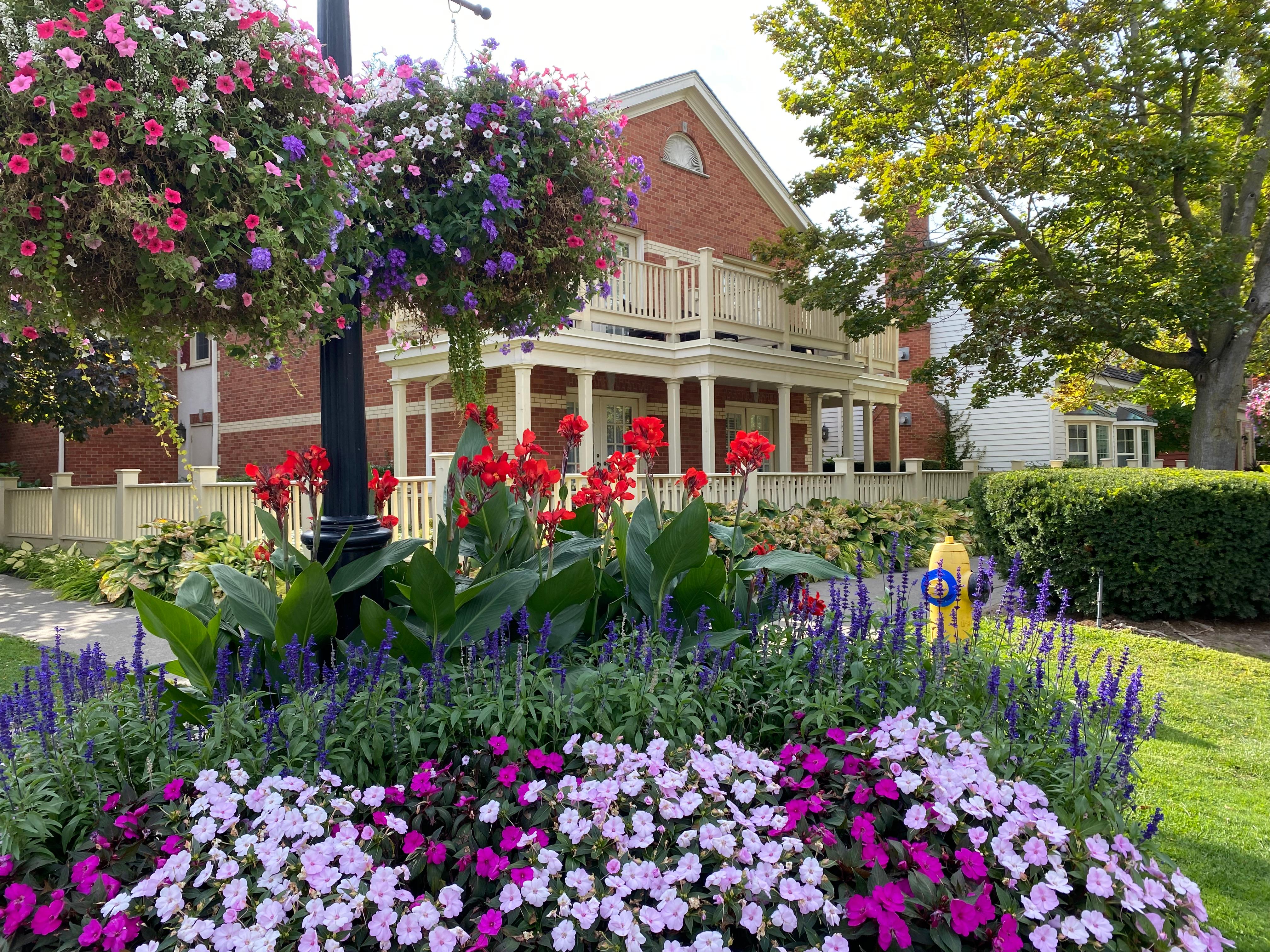 Gardens throughout the town!