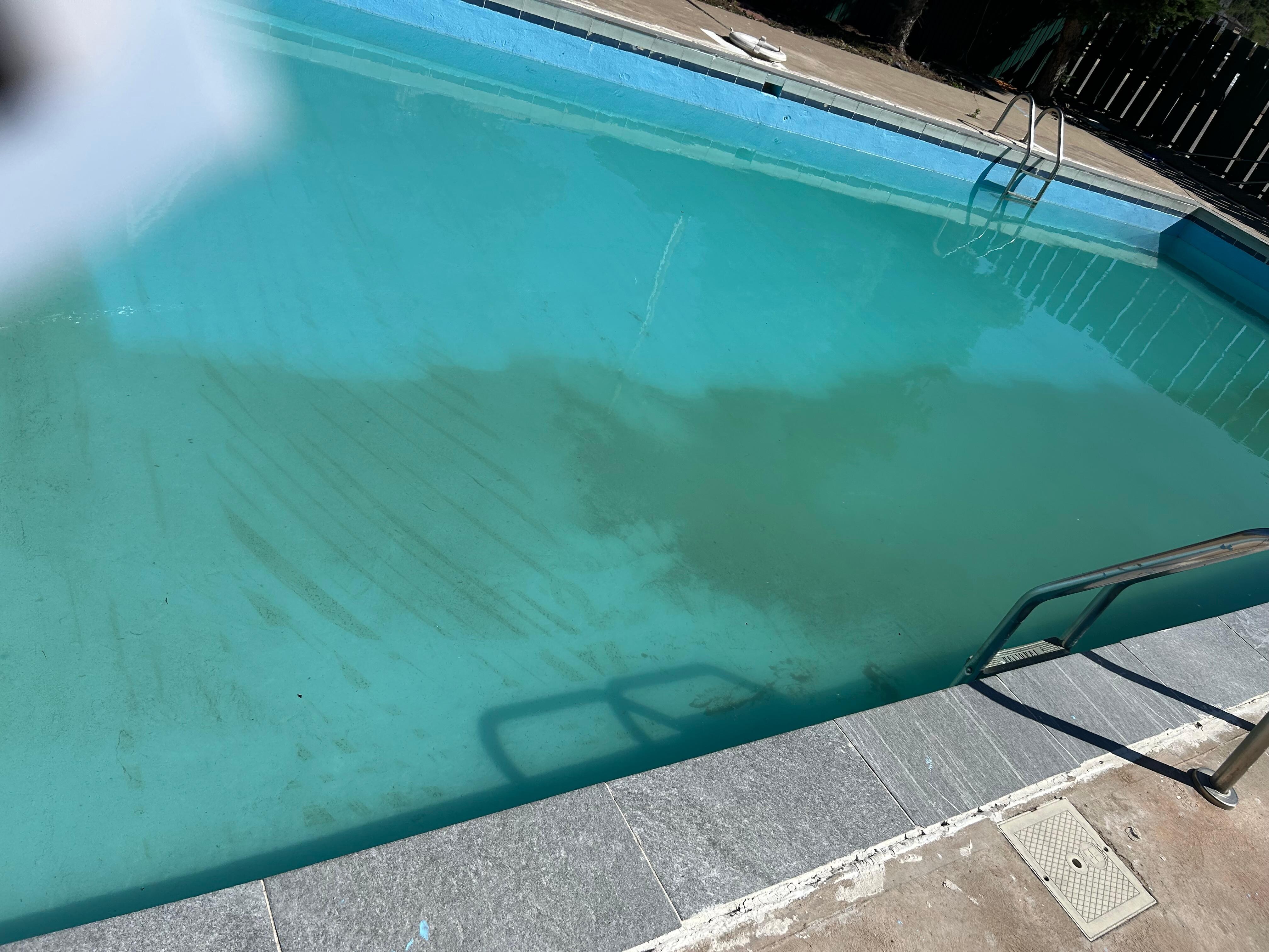 Pool is full of scum