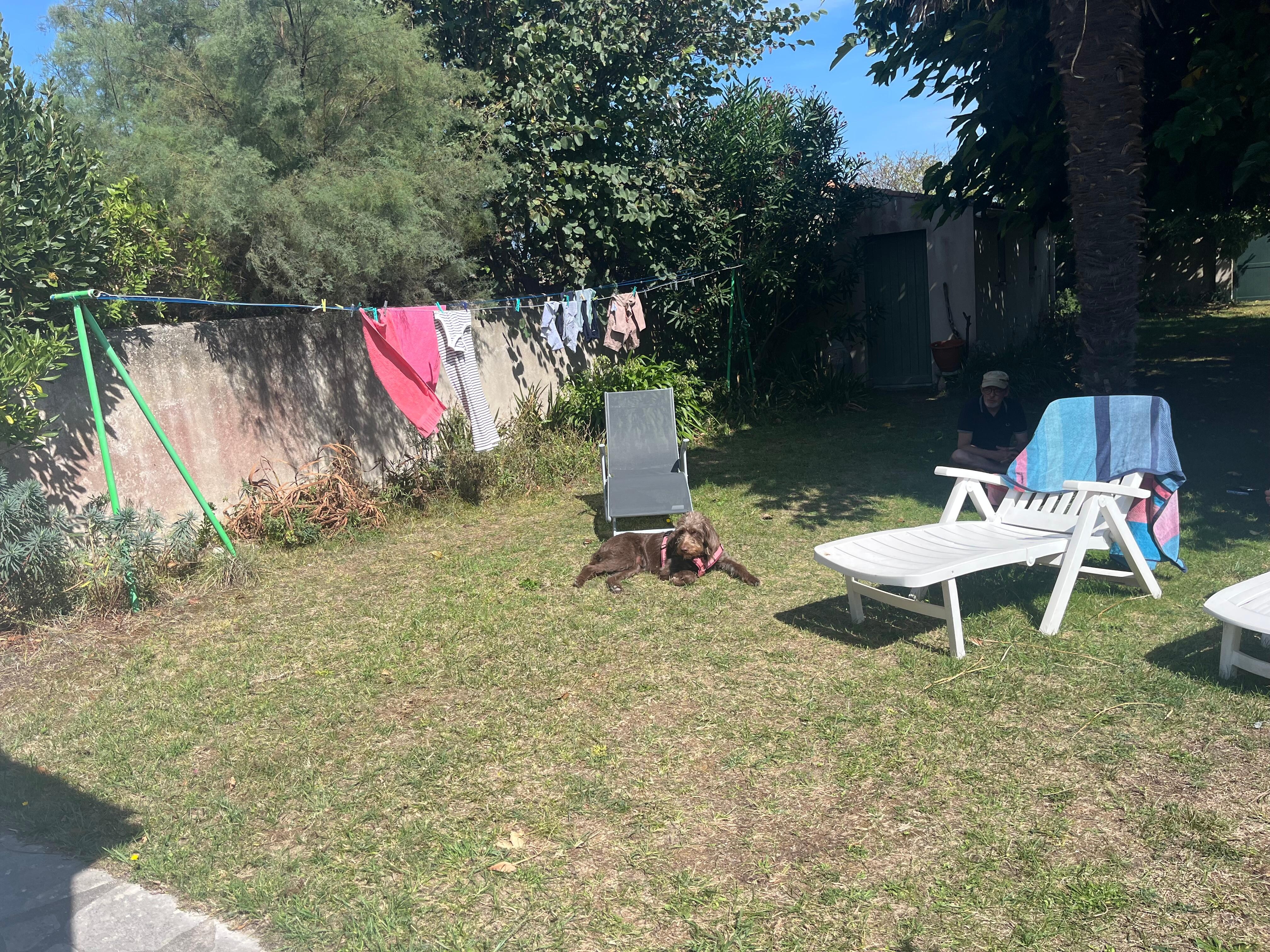 Der Garten mit ausreichend liegen sowie einer Wäscheleine zum Aufhängen der Badesachen