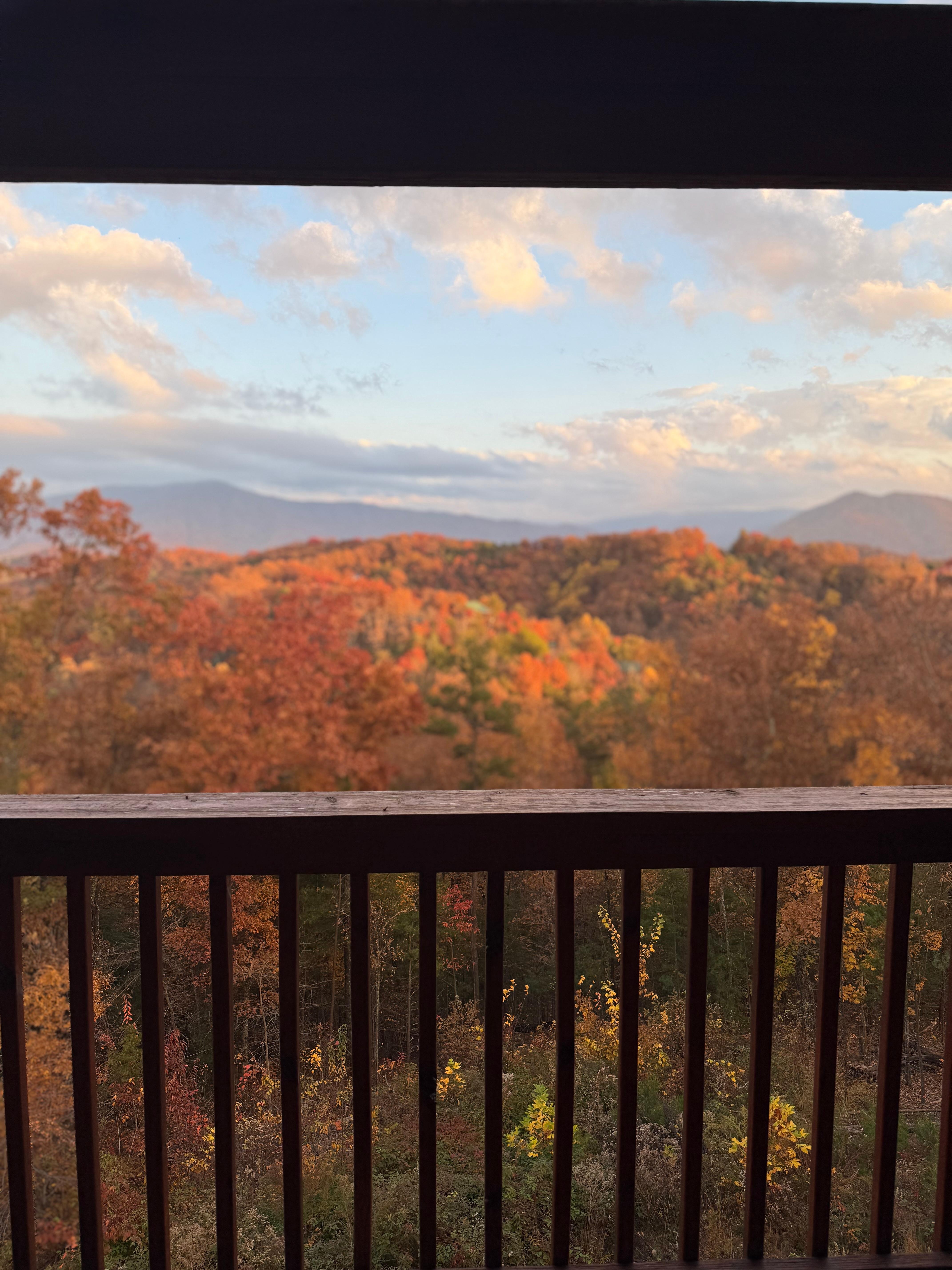 The view from the front porch in November 