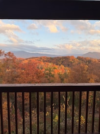 The view from the front porch in November