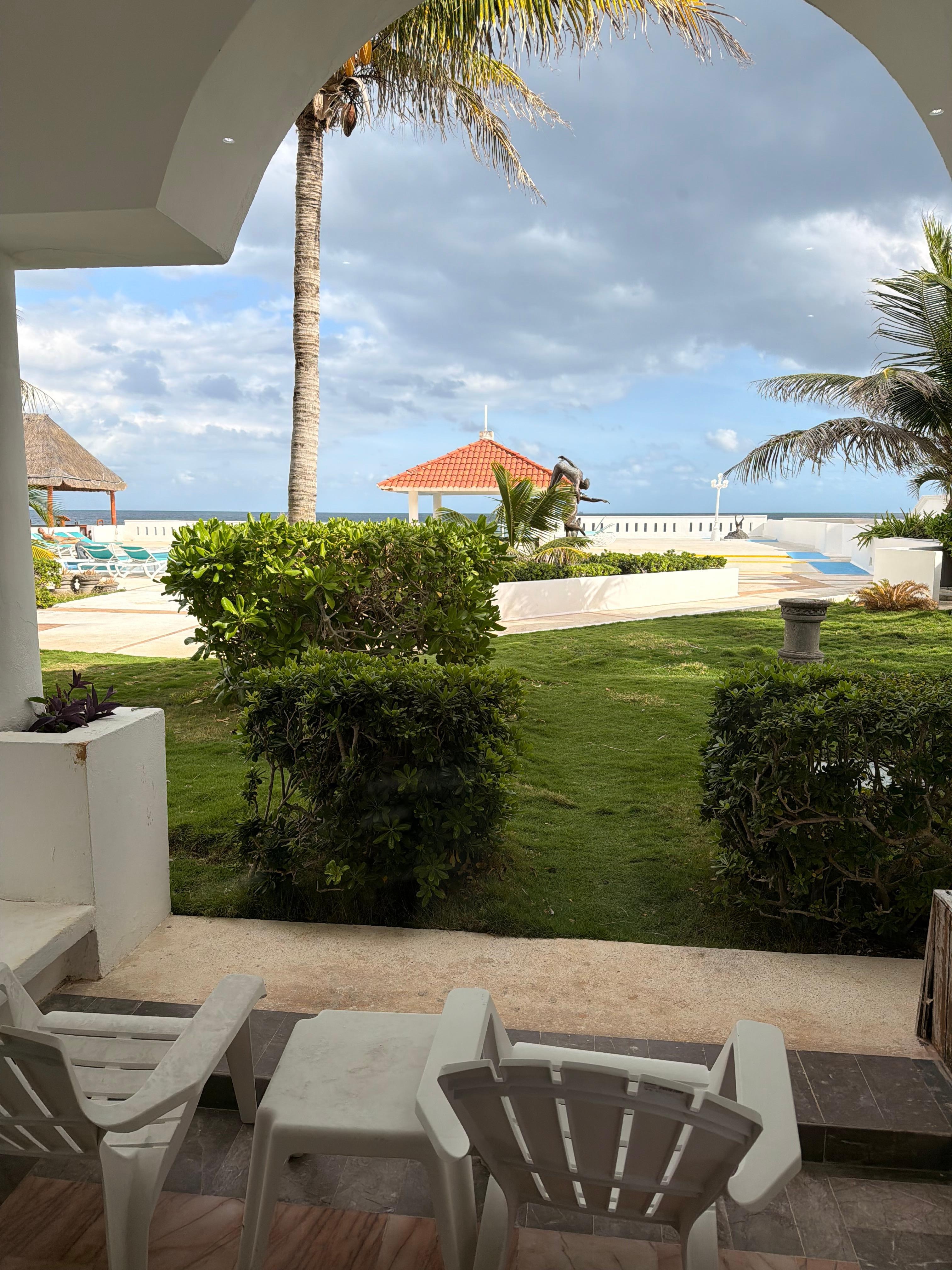 Garden view from my room