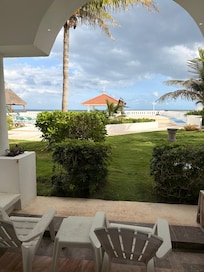 Garden view from my room