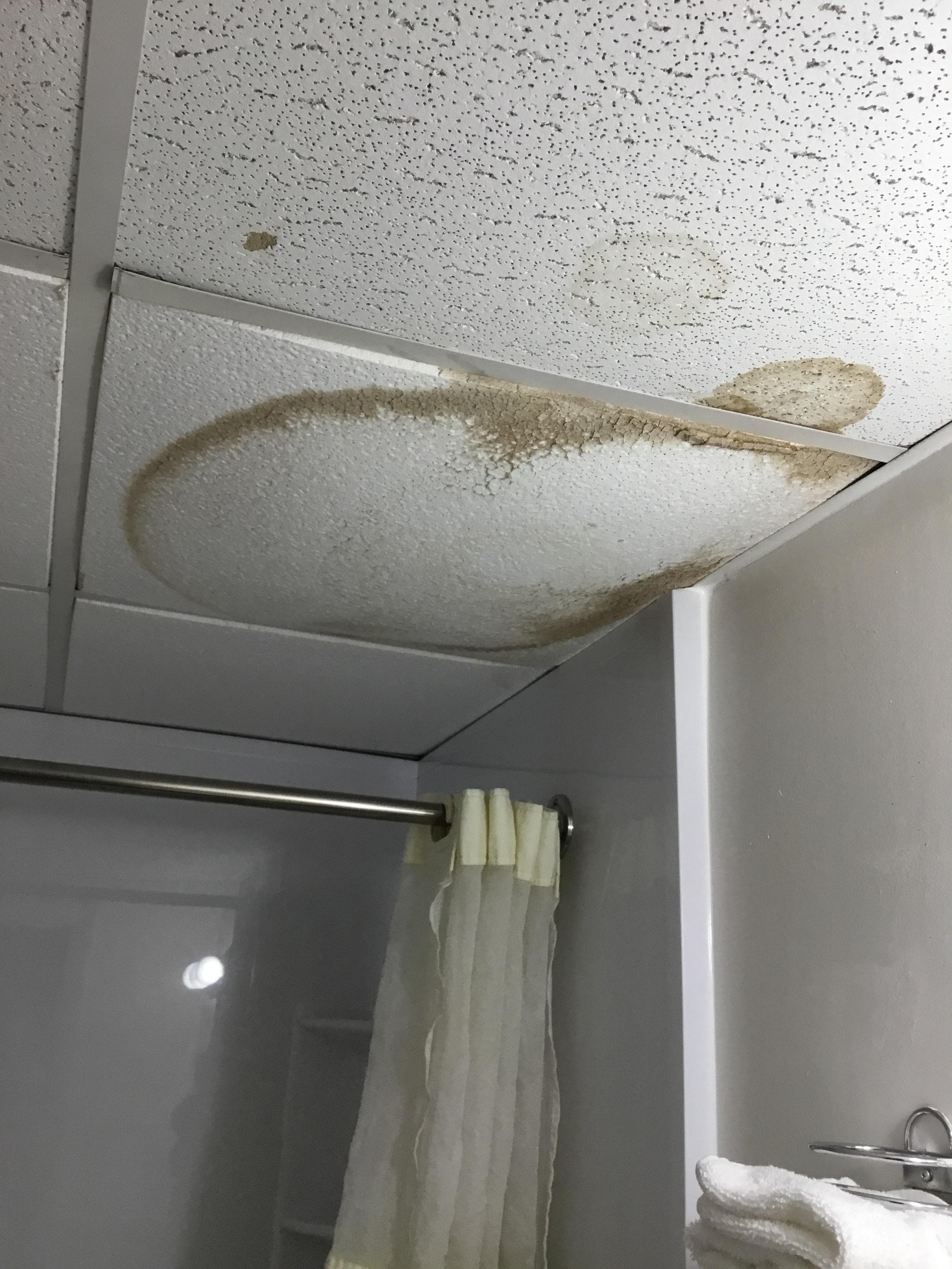 Bathroom ceiling 